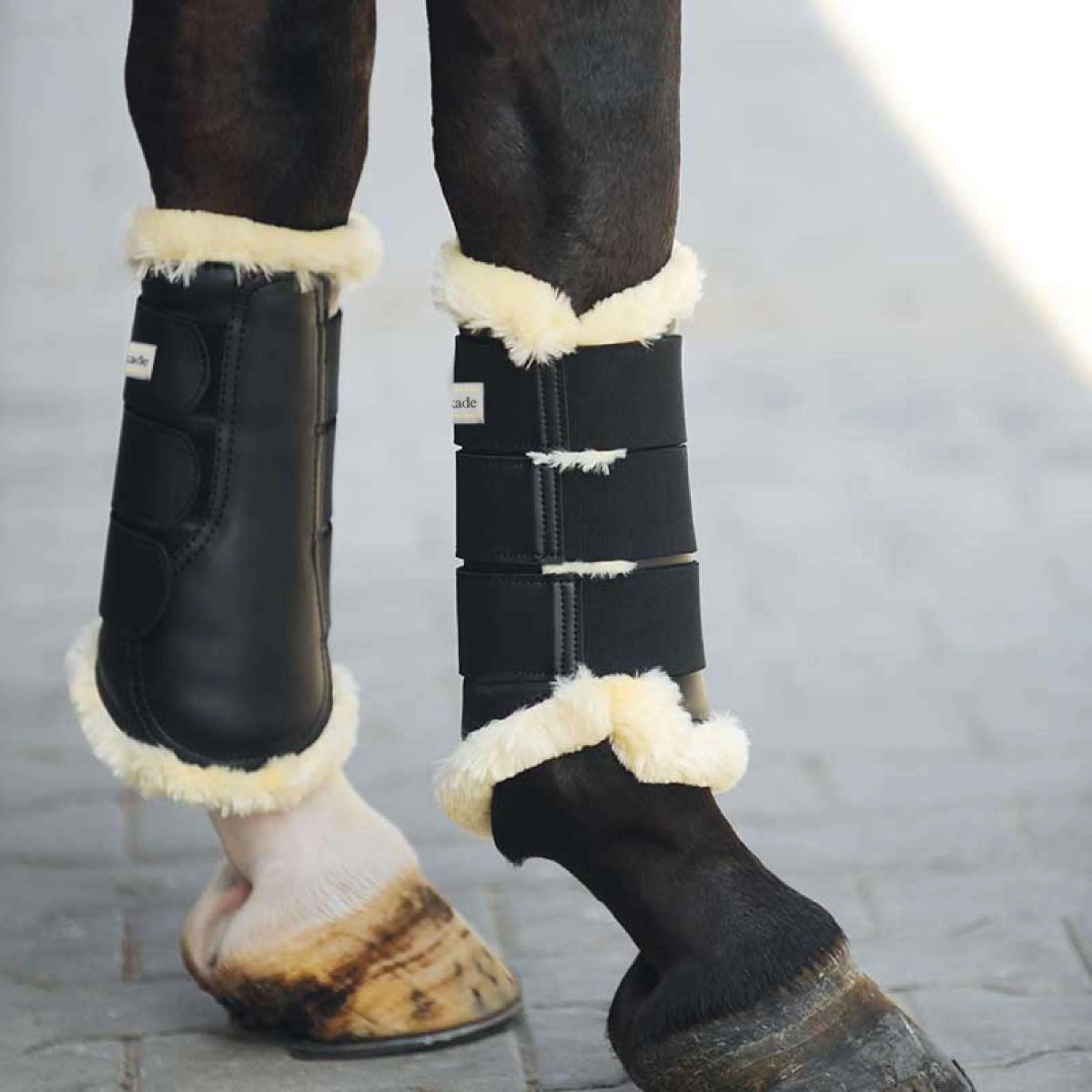 Kavalkade Dressurstiefel Show Kunstleder Schwarz