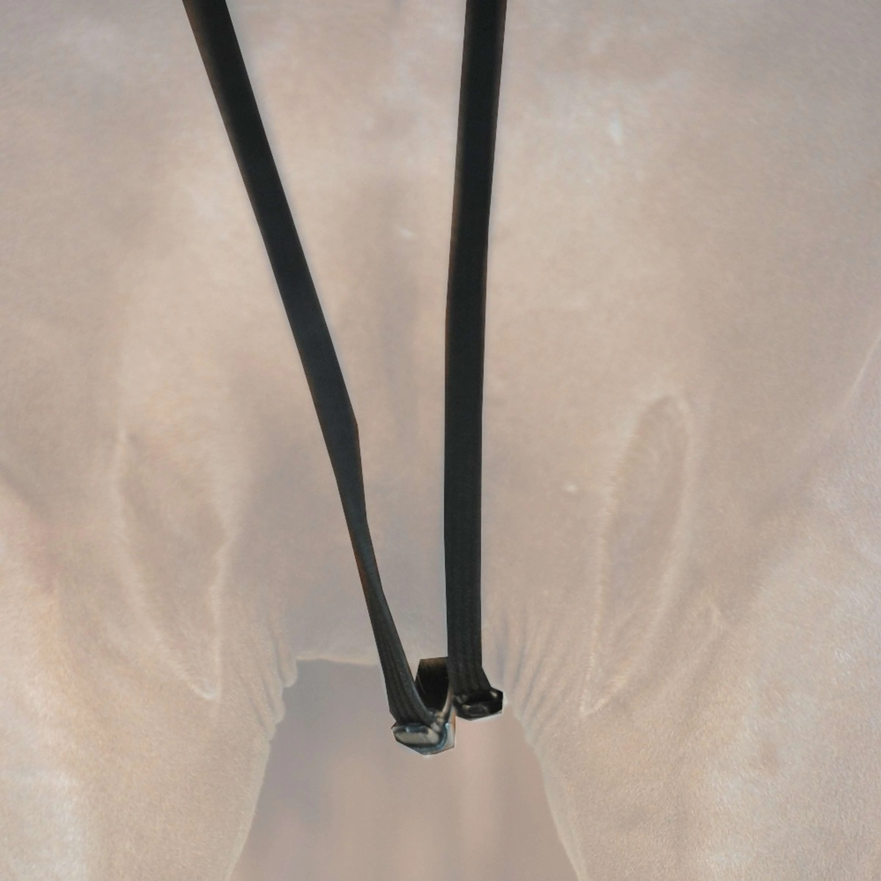 Kavalkade Gurt-Schlaufzügel Schwarz - Image 3