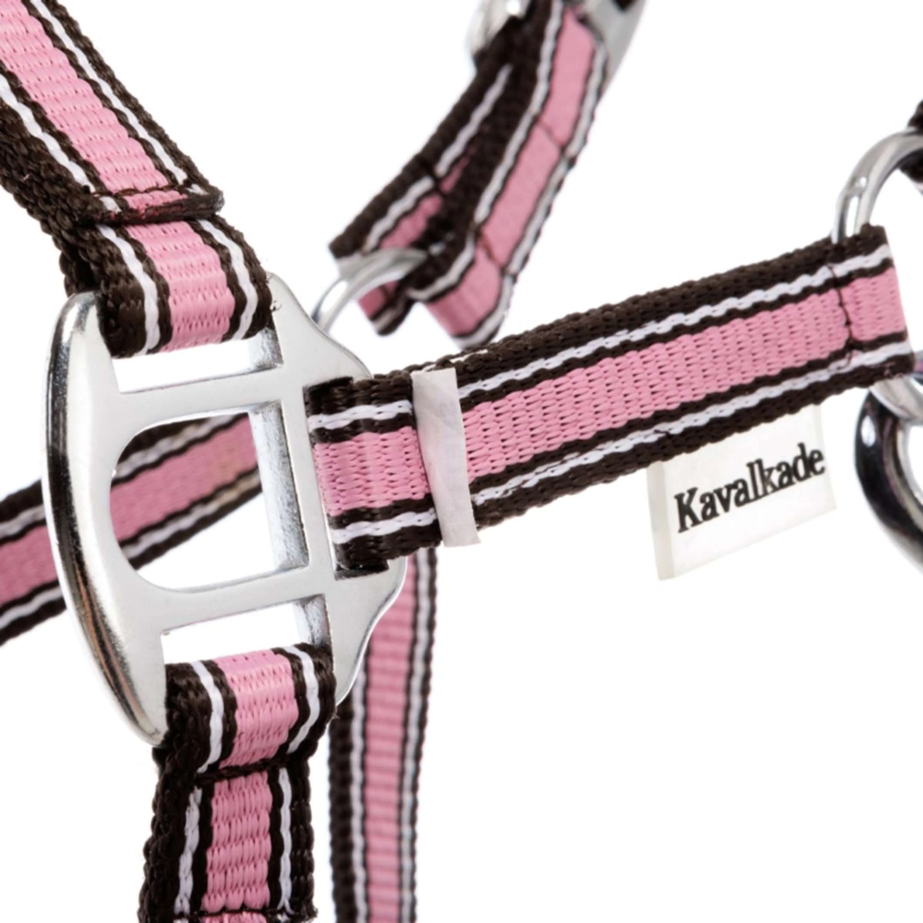 Kavalkade Halfter Shorty Rosa - Image 3