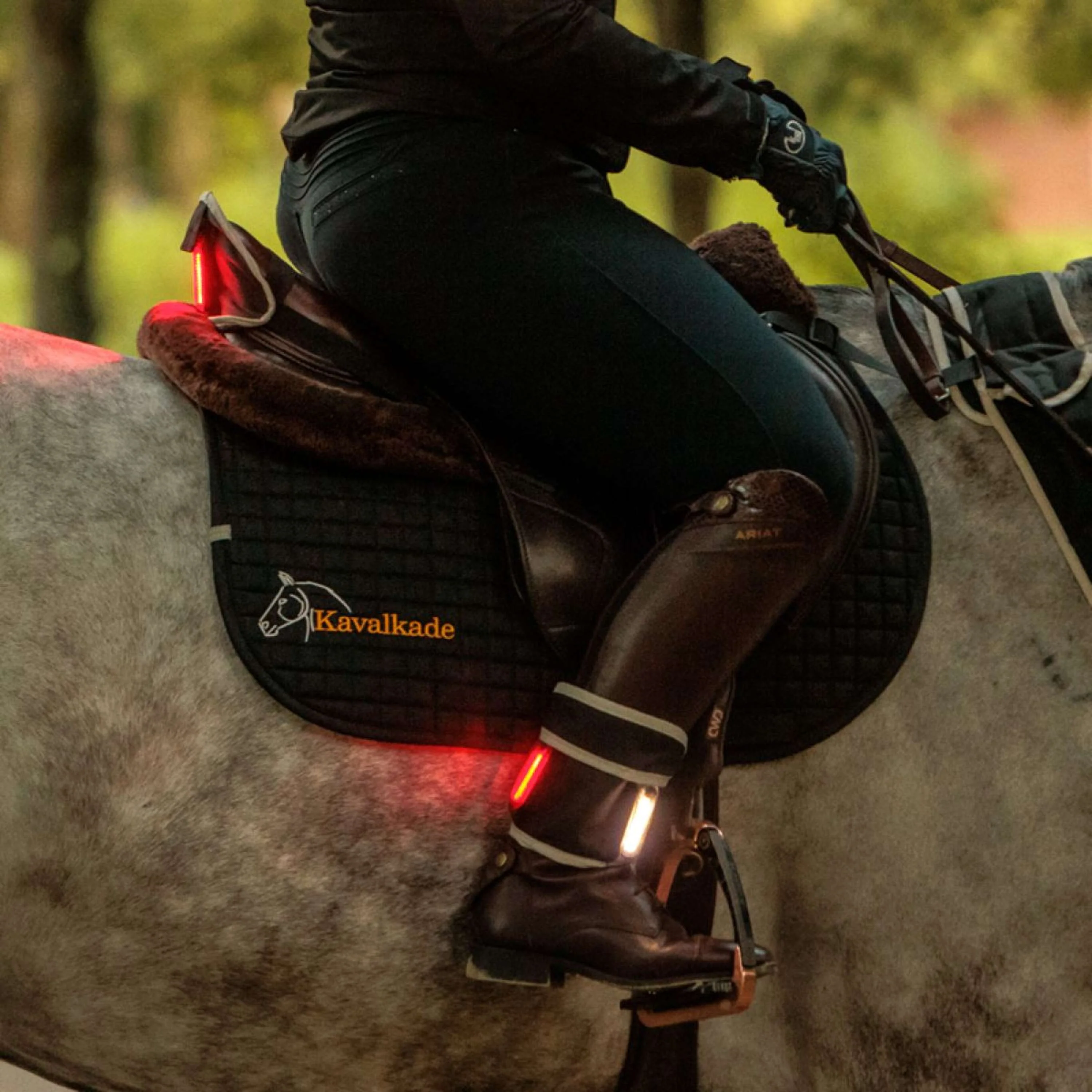 Kavalkade Vorderzeug/Sattel/Bein Horselight Schwarz/Grau - Image 2