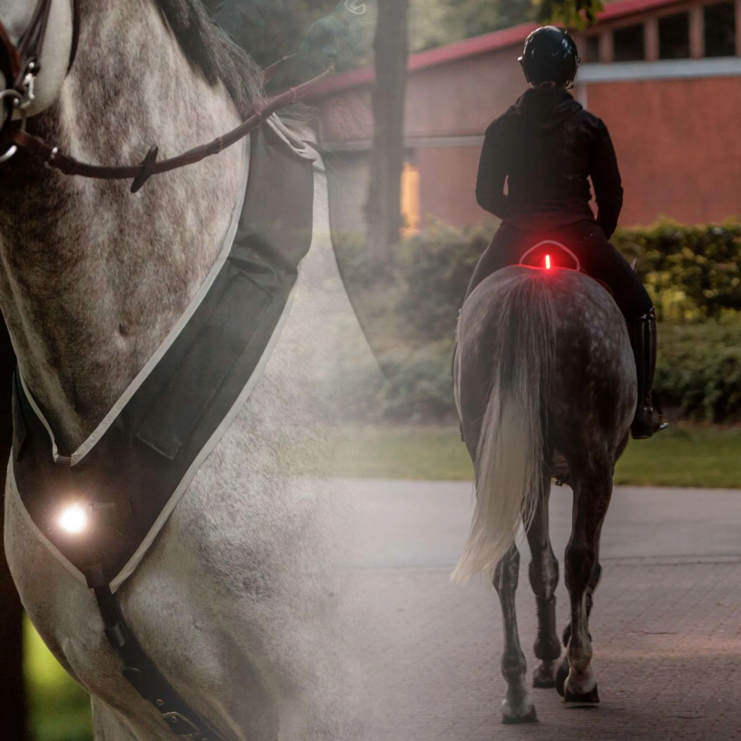 Kavalkade Vorderzeug/Sattel Horselight Schwarz/Grau