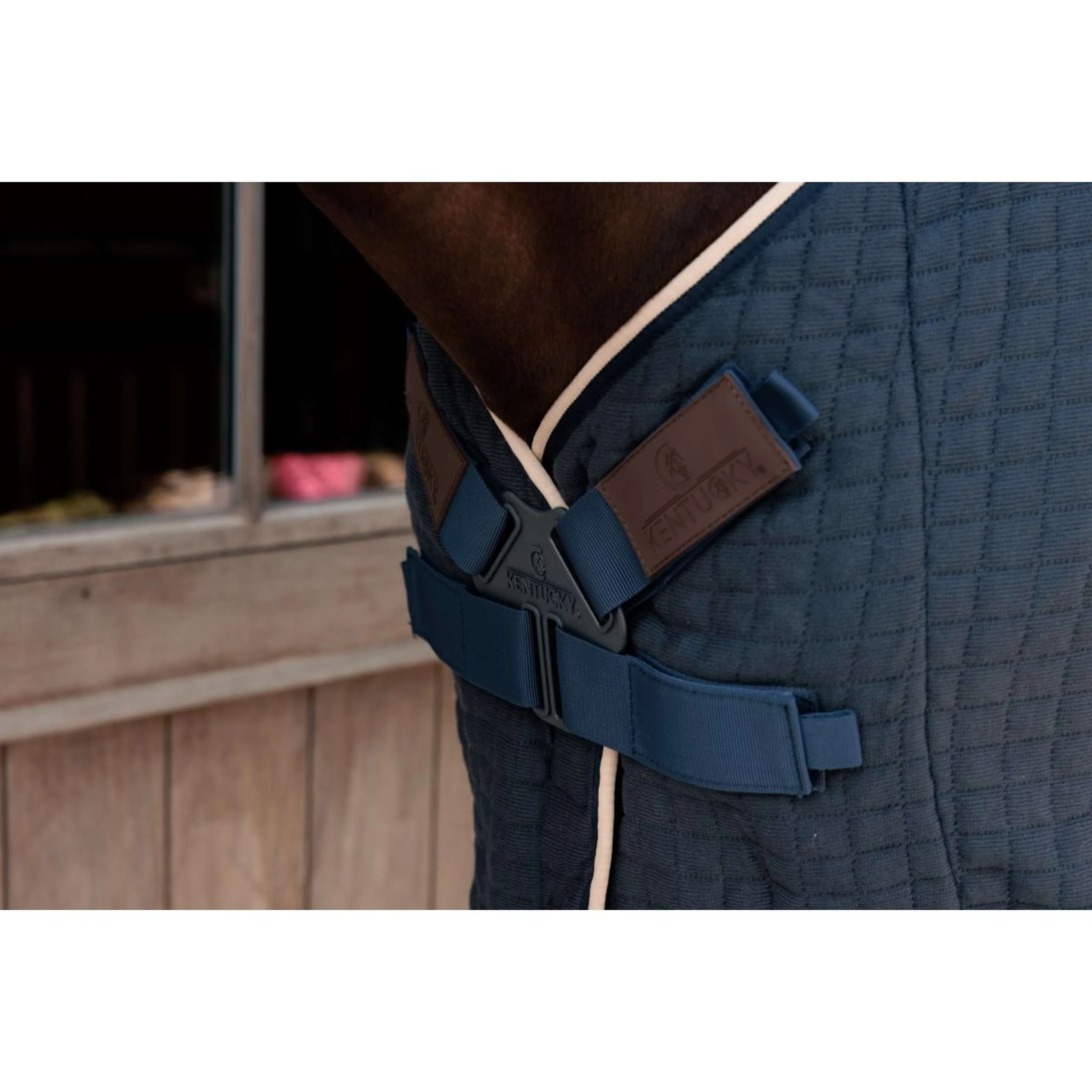 Kentucky Cooler PROTherm Navy - Image 4