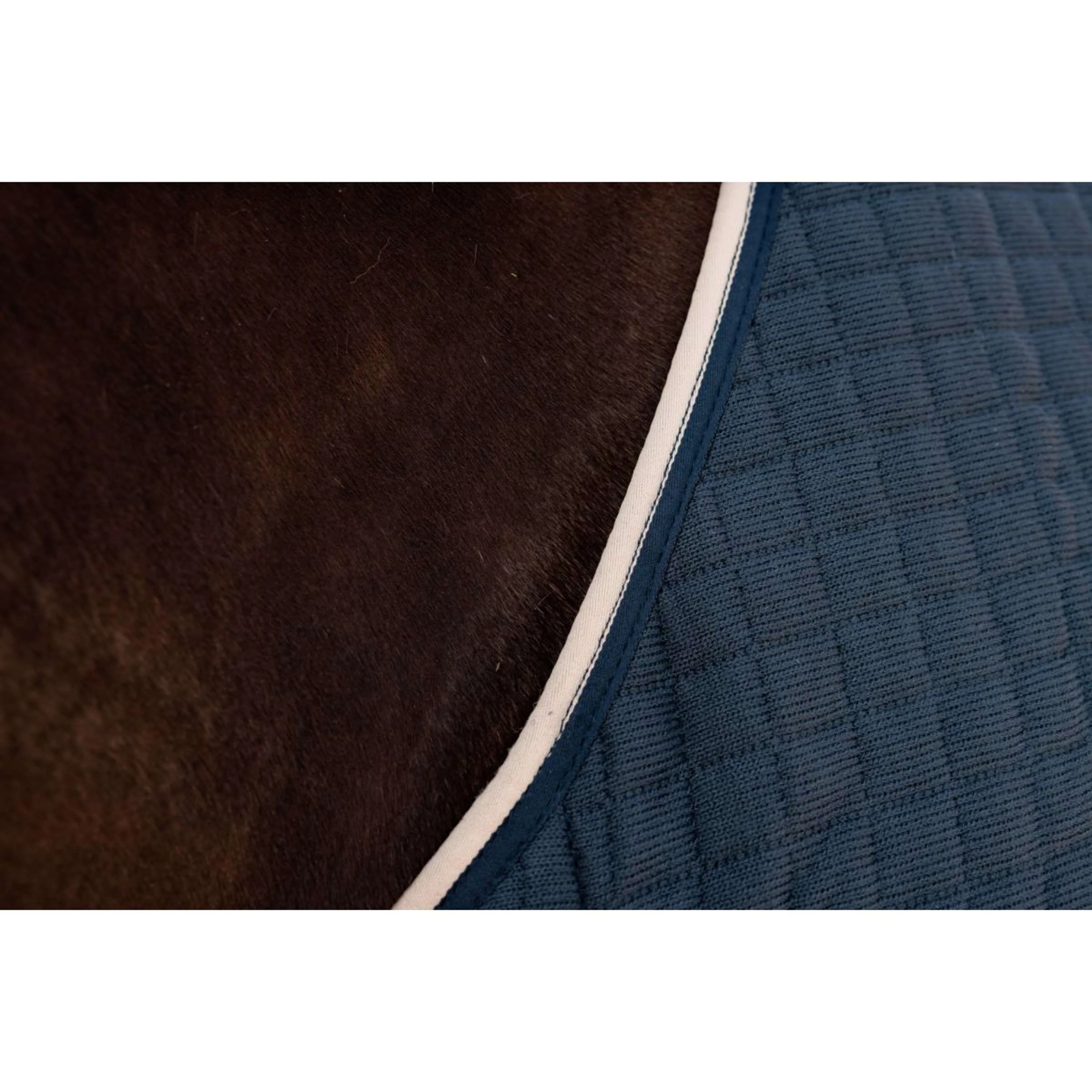 Kentucky Cooler PROTherm Navy - Image 9