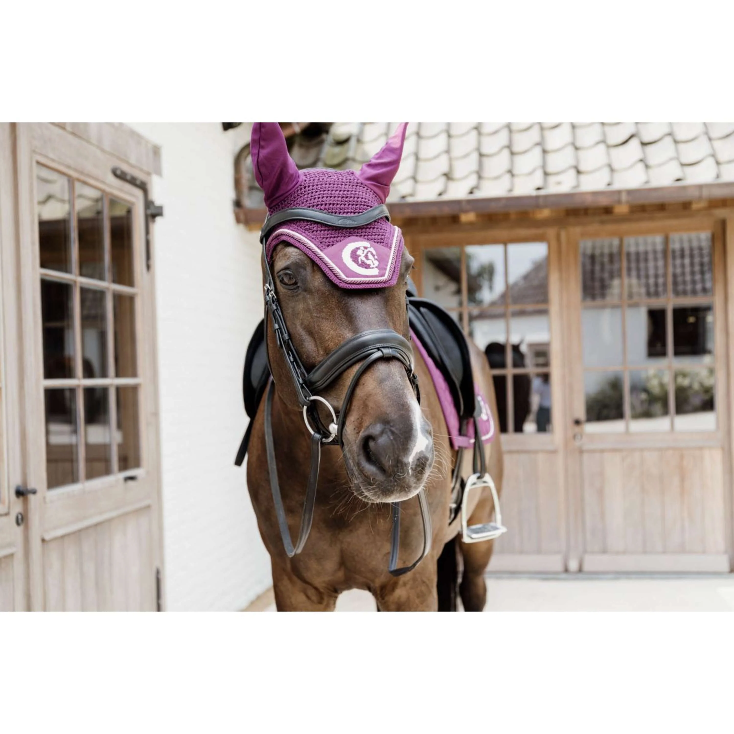 Kentucky Fliegenhaube Wellington Soundless 3D Logo Rope Violett - Image 2