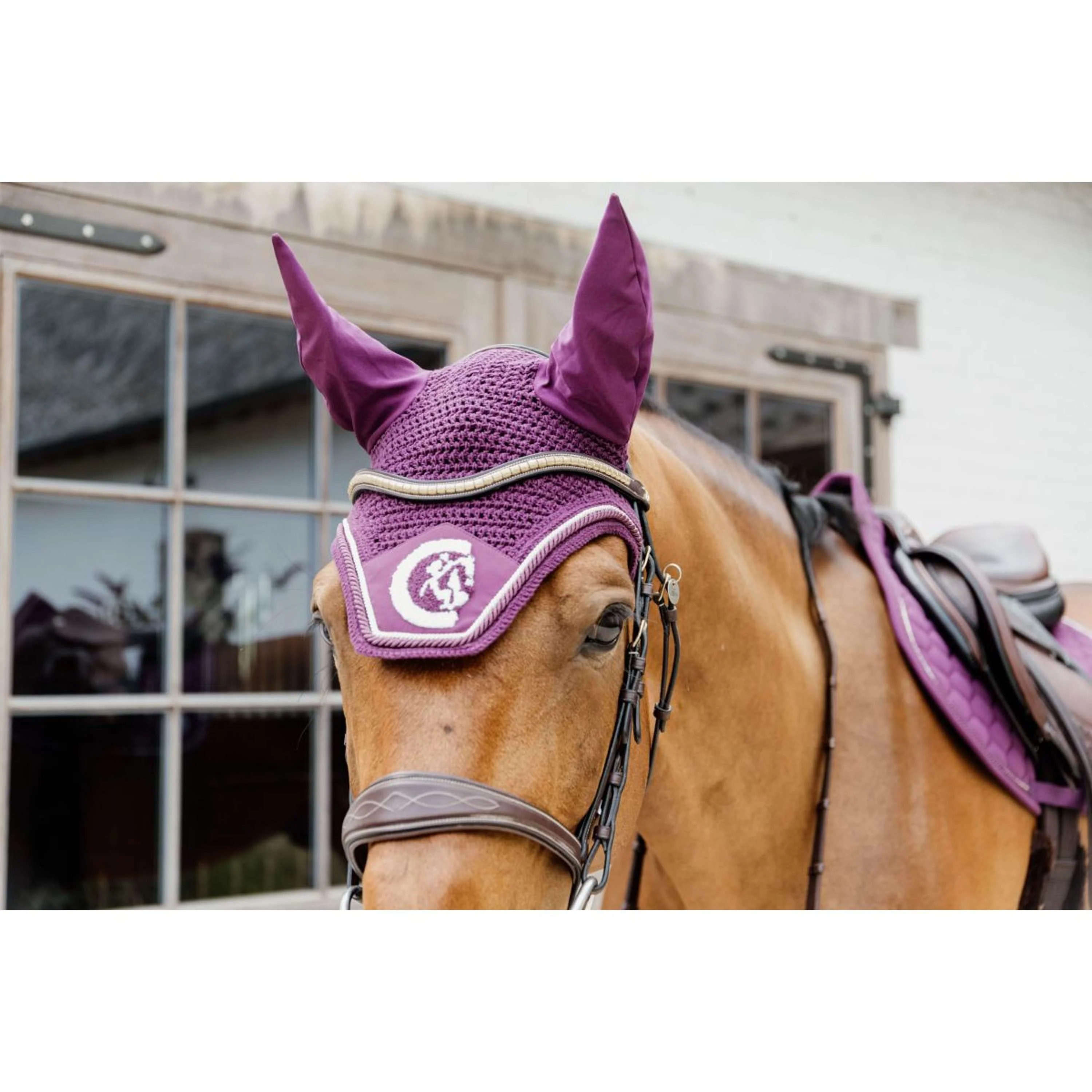 Kentucky Fliegenhaube Wellington Soundless 3D Logo Rope Violett - Image 3