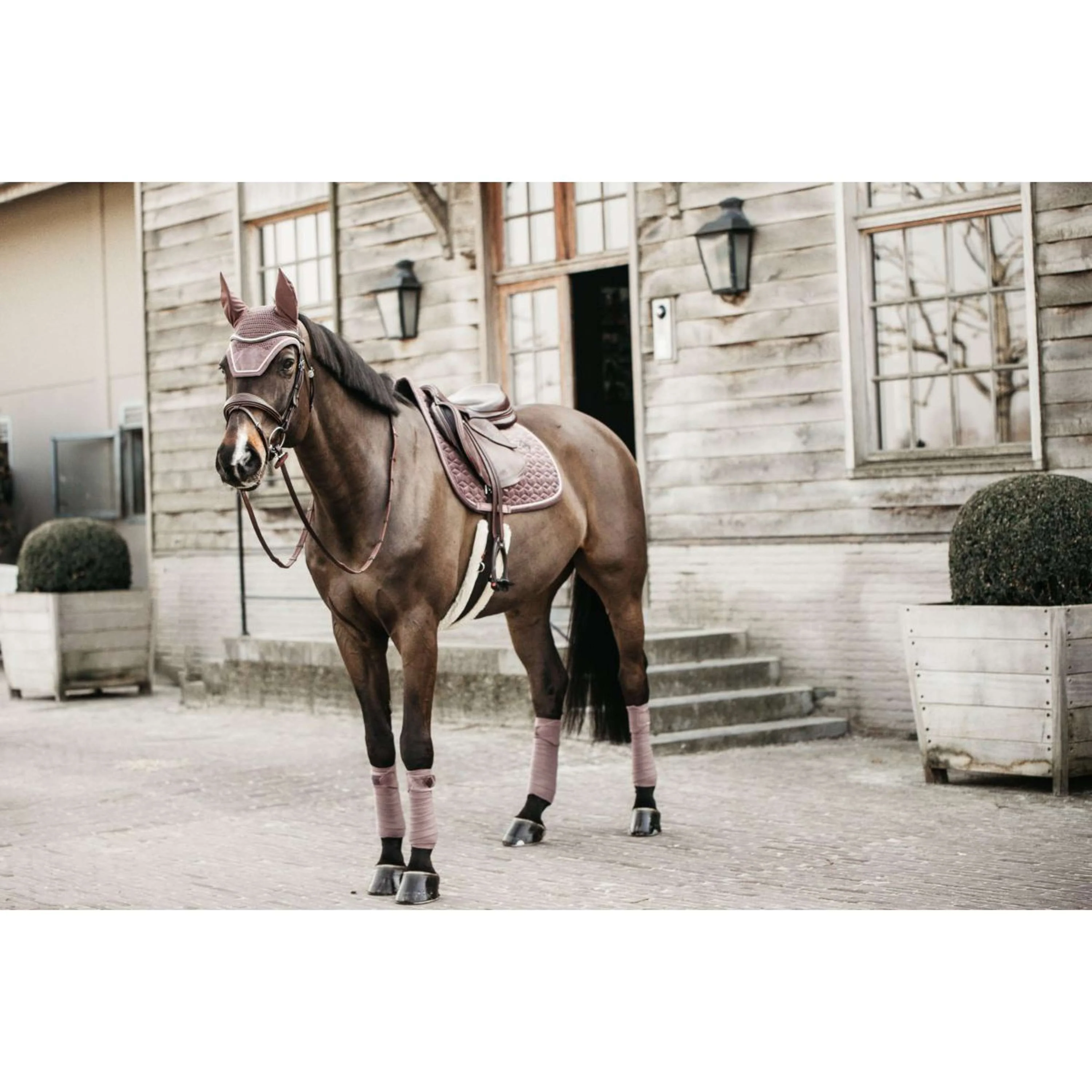 Kentucky Fliegenhaube Wellington Velvet Beige - Image 2