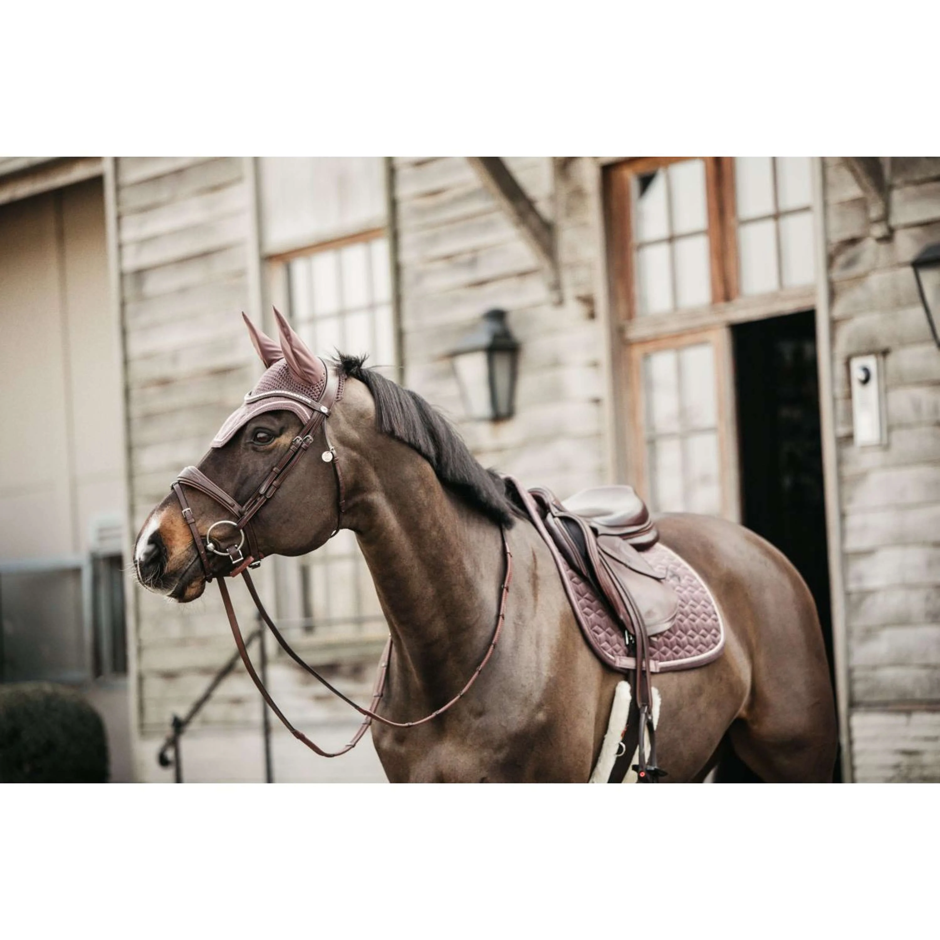 Kentucky Fliegenhaube Wellington Velvet Beige - Image 3