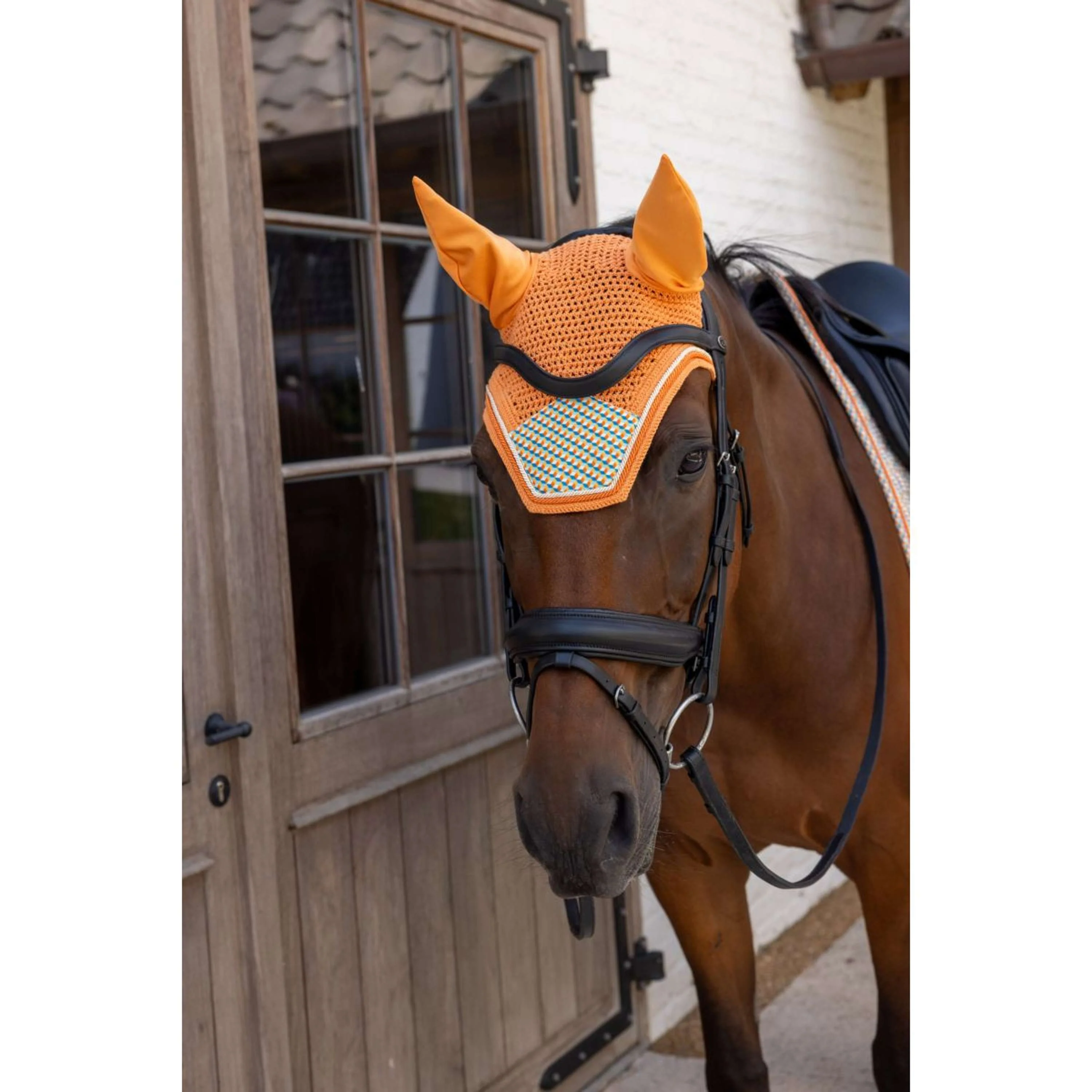 Kentucky Fliegenhaube Wellington Velvet Cubes Multicolor - Image 2