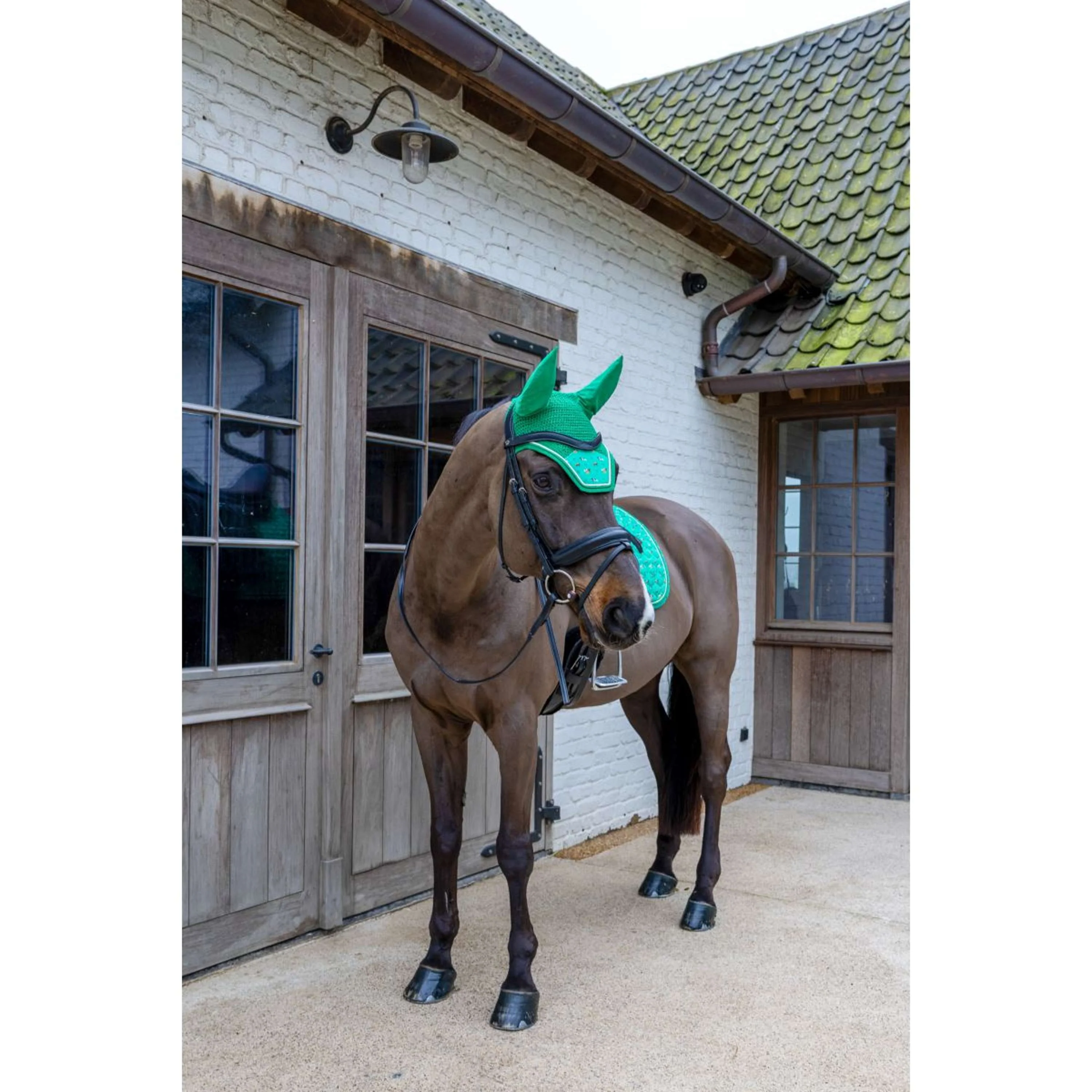 Kentucky Fliegenhaube Wellington Velvet Horse Printing Grün - Image 3