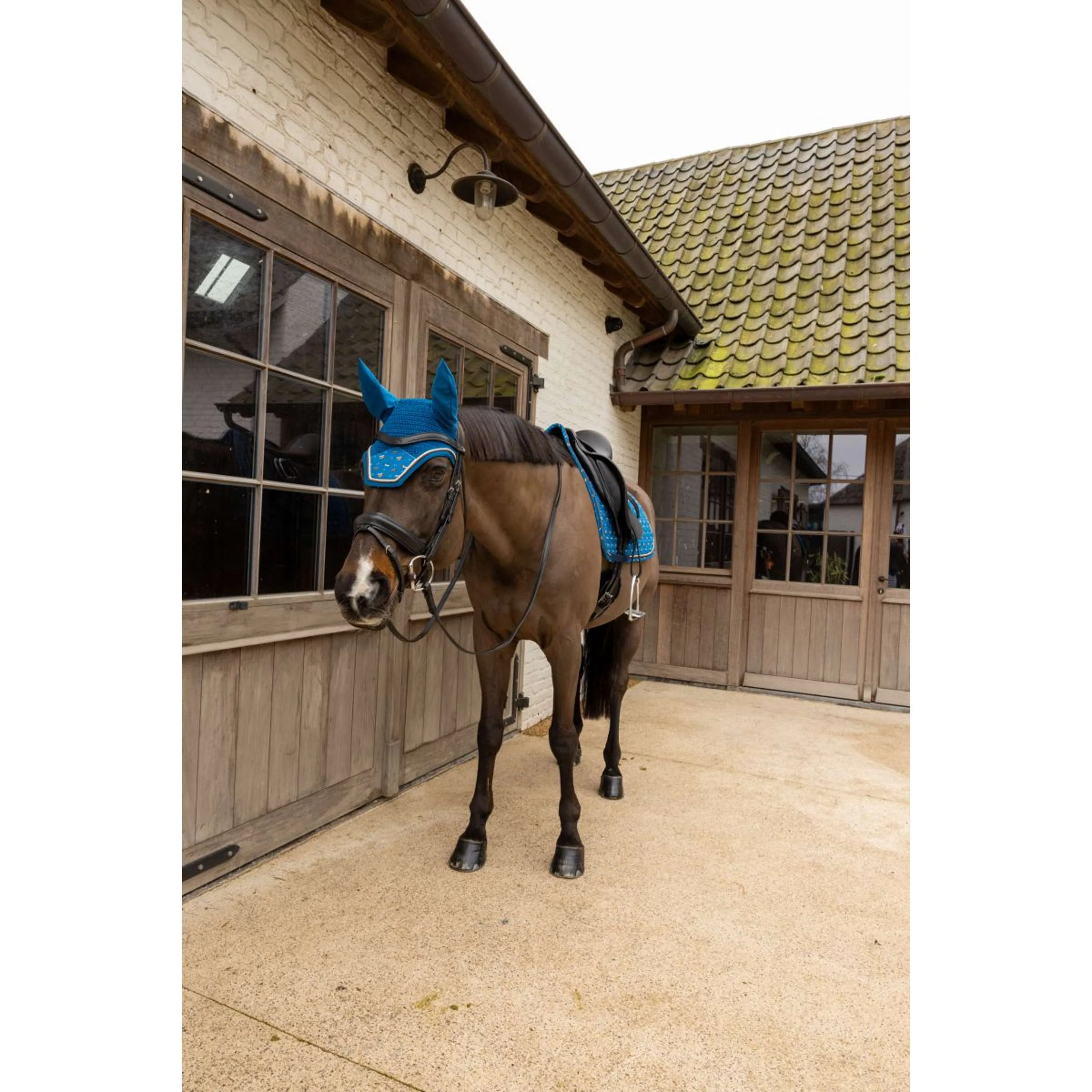 Kentucky Fliegenhaube Wellington Velvet Horse Printing Navy - Image 3