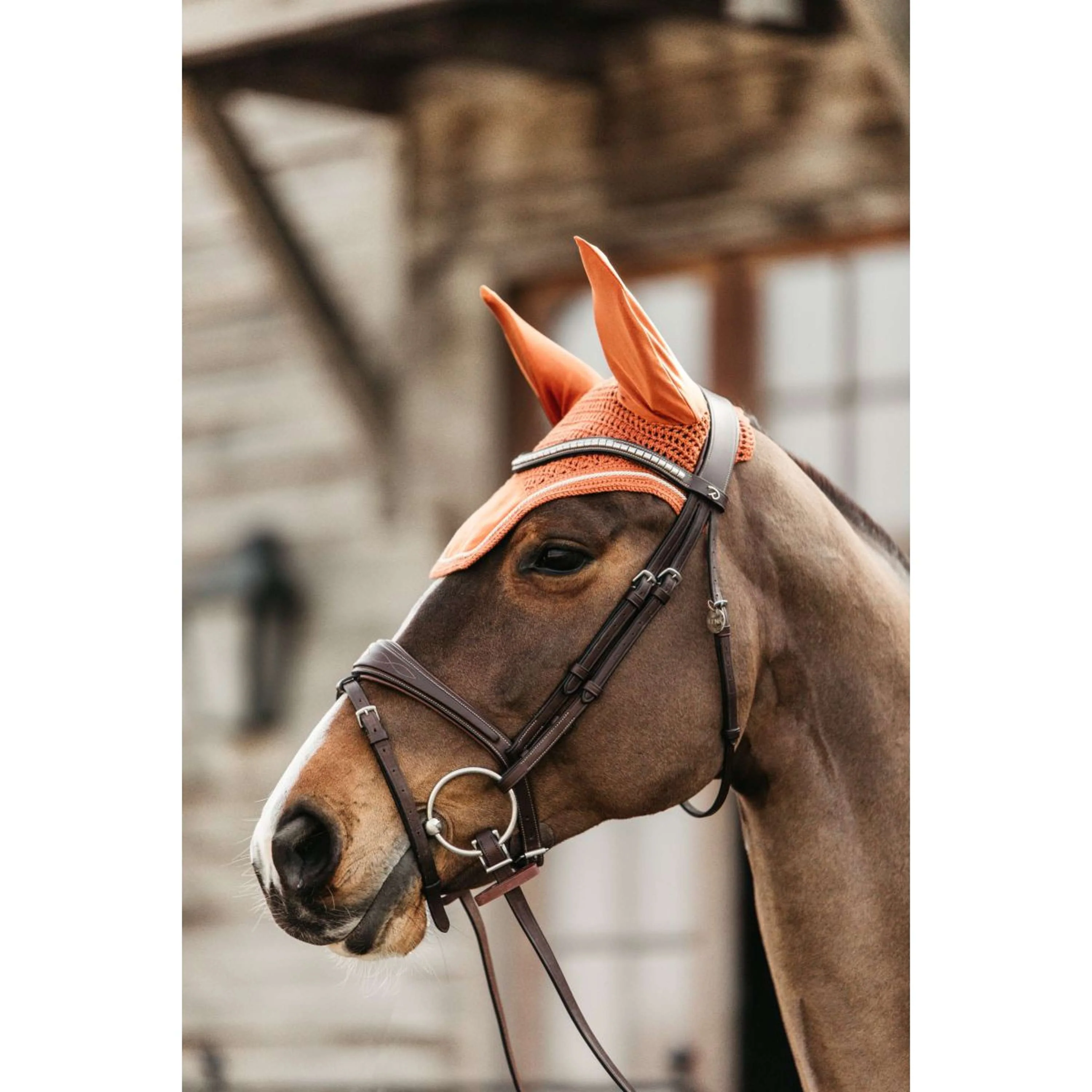 Kentucky Ohrnetz Wellington Velvet Orange - Image 2