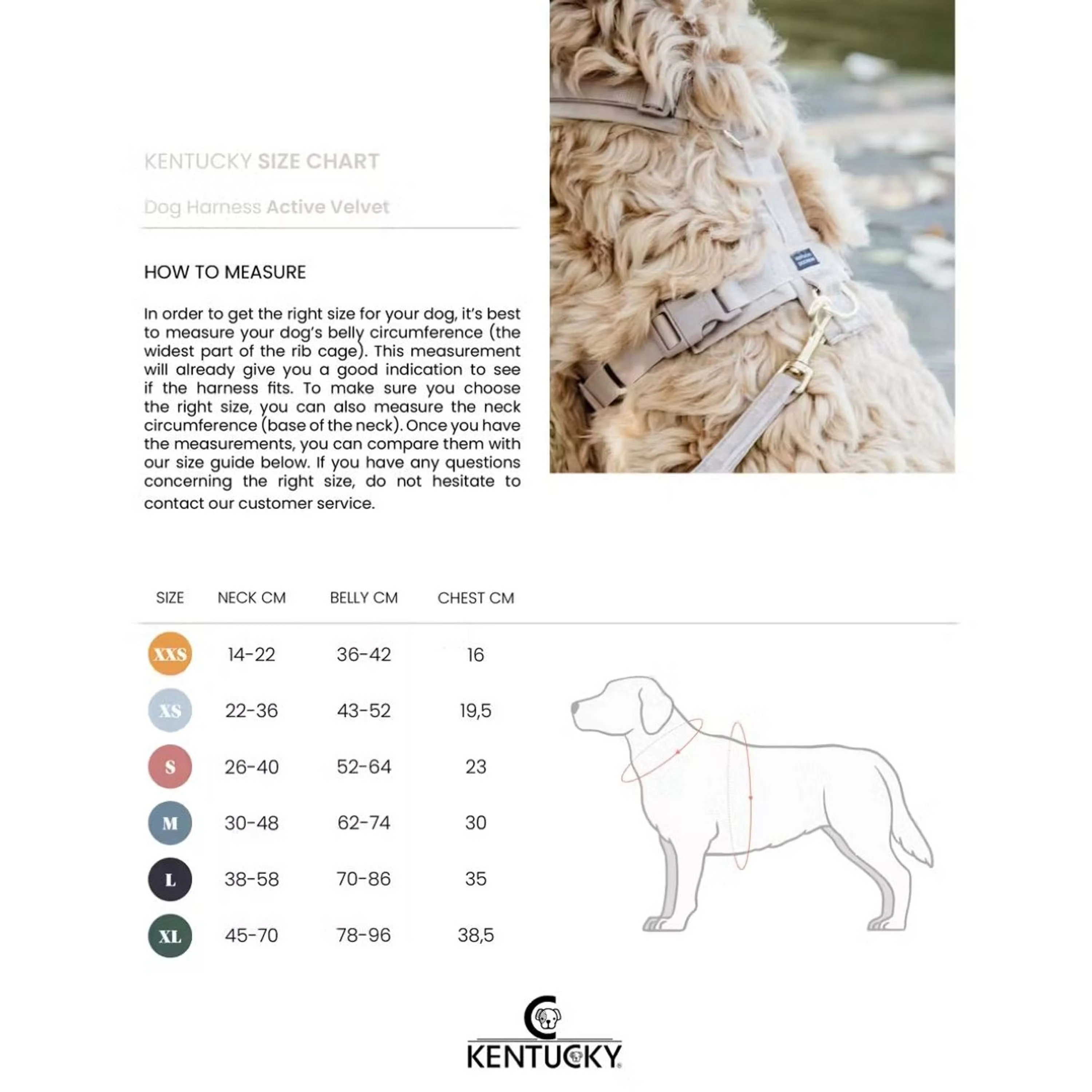 Kentucky Geschirr Active Velvet Beige - Image 6