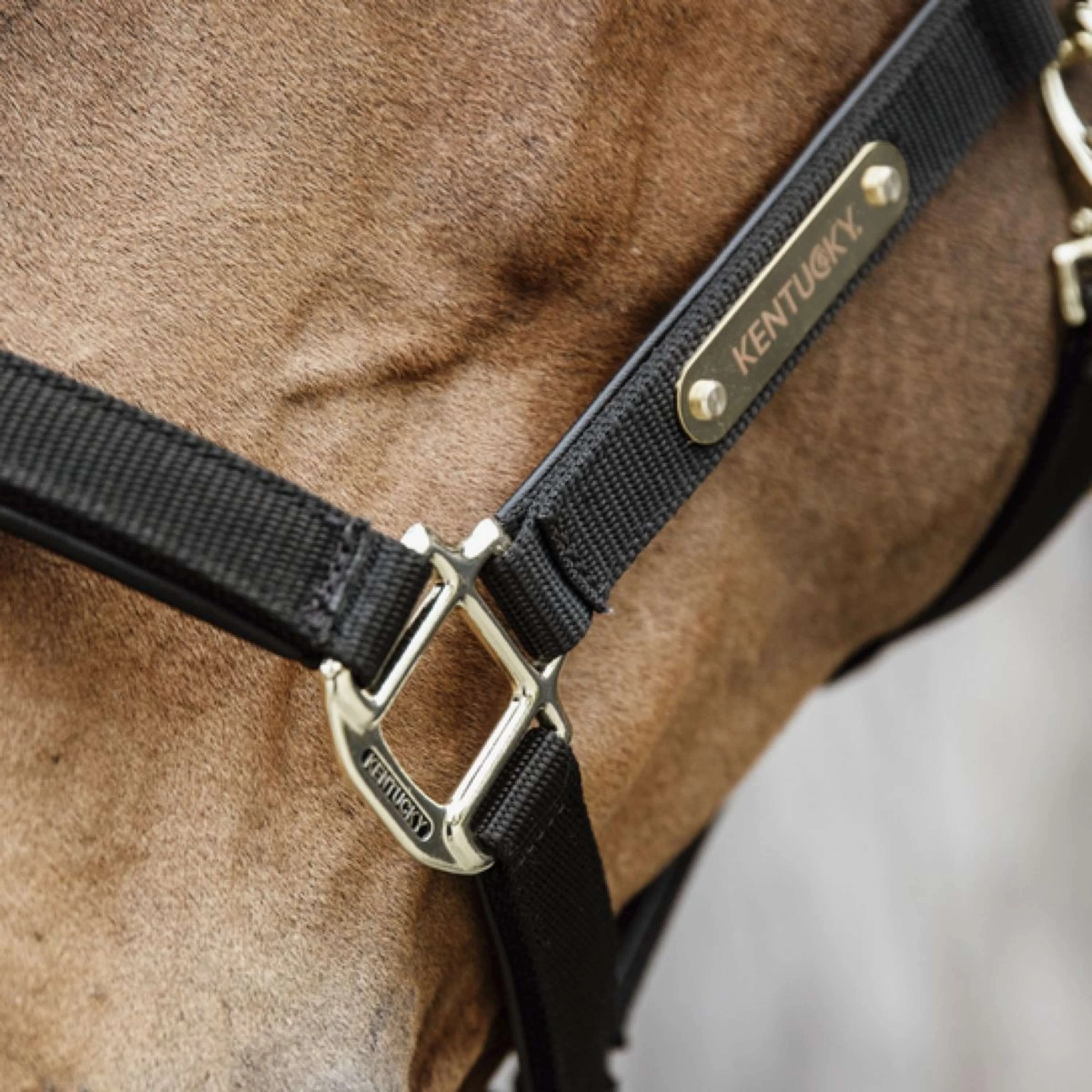 Kentucky Halfter Anatomic Nylon Schwarz - Image 4