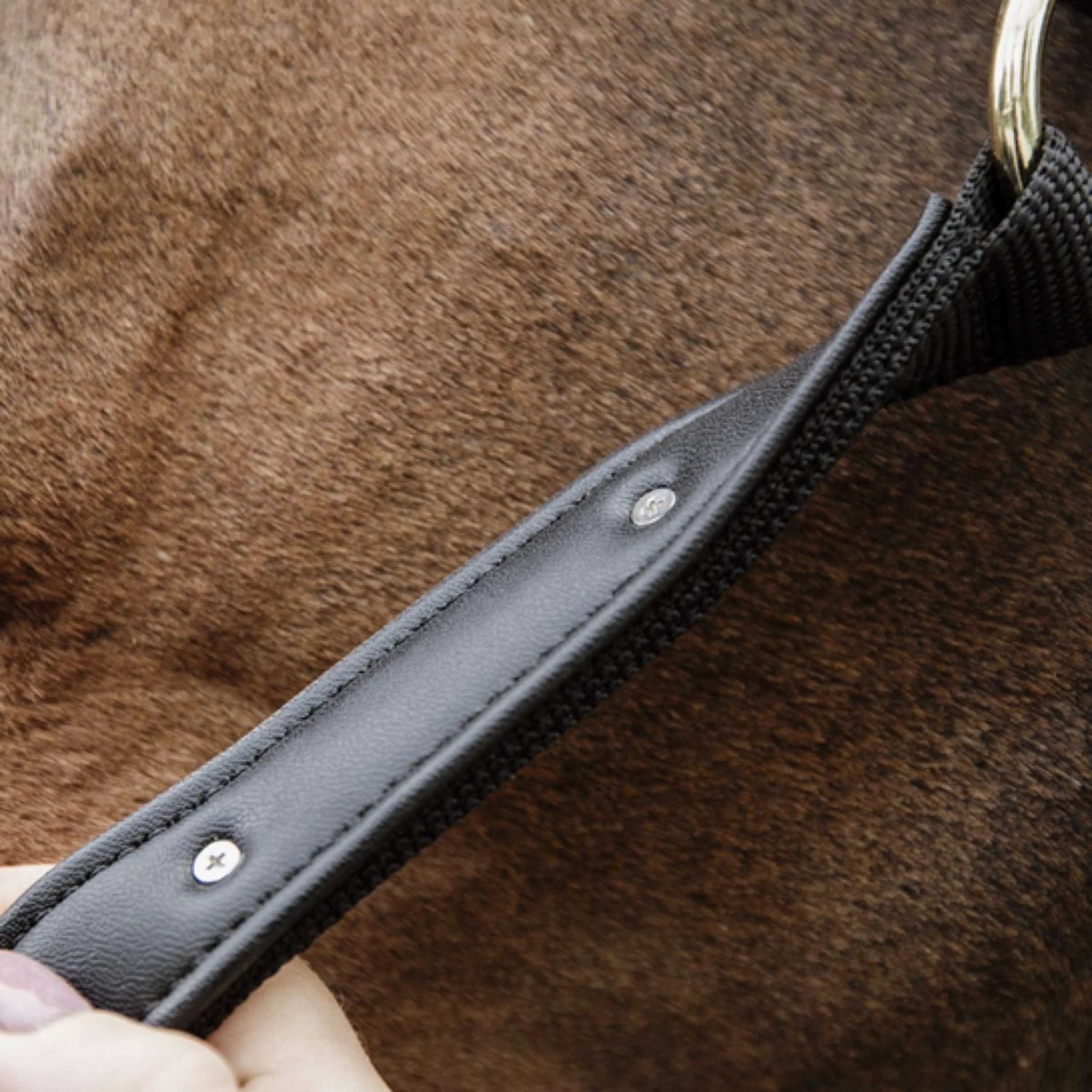 Kentucky Halfter Anatomic Nylon Schwarz - Image 5