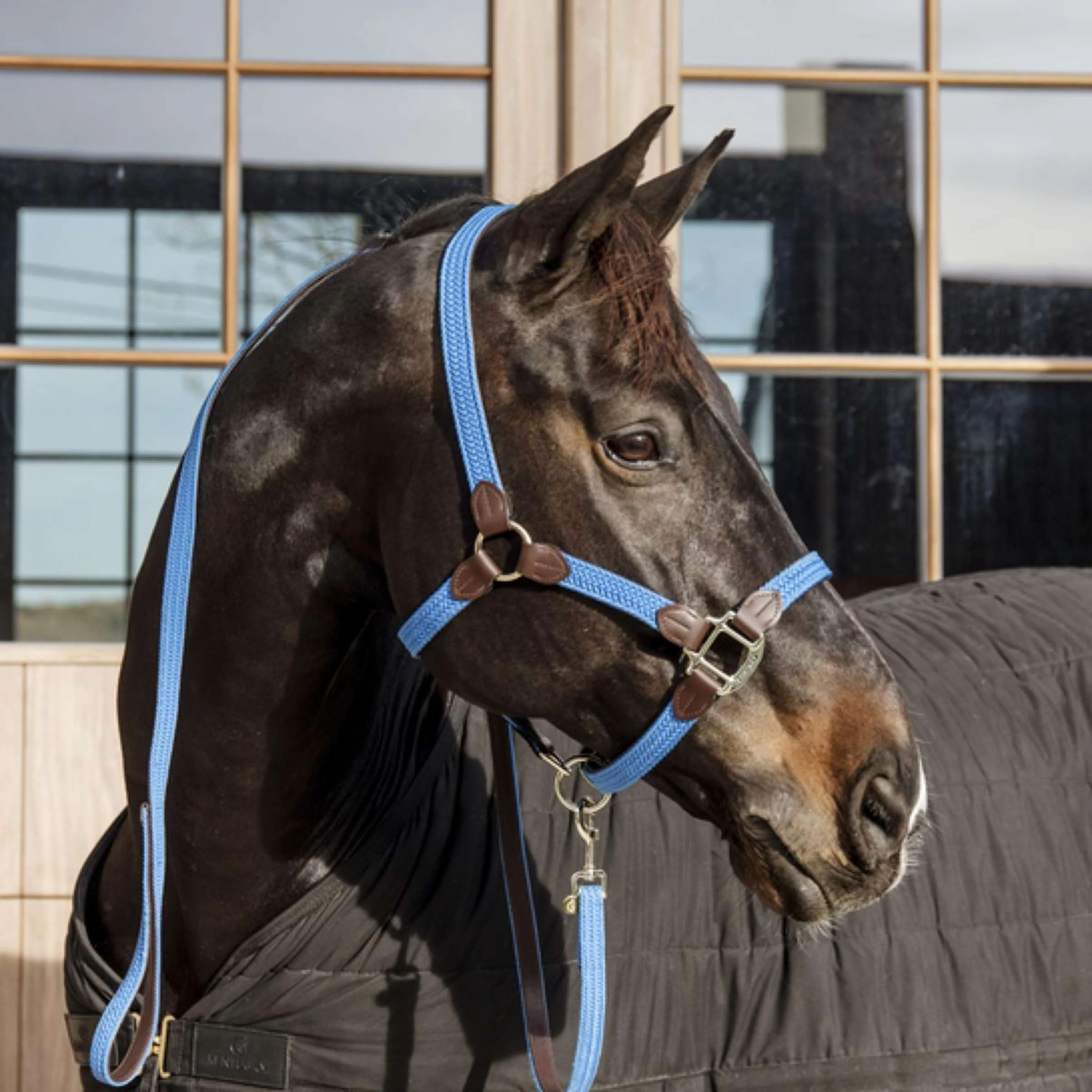 Kentucky Halfter Plaited Nylon Hellblau - Image 2