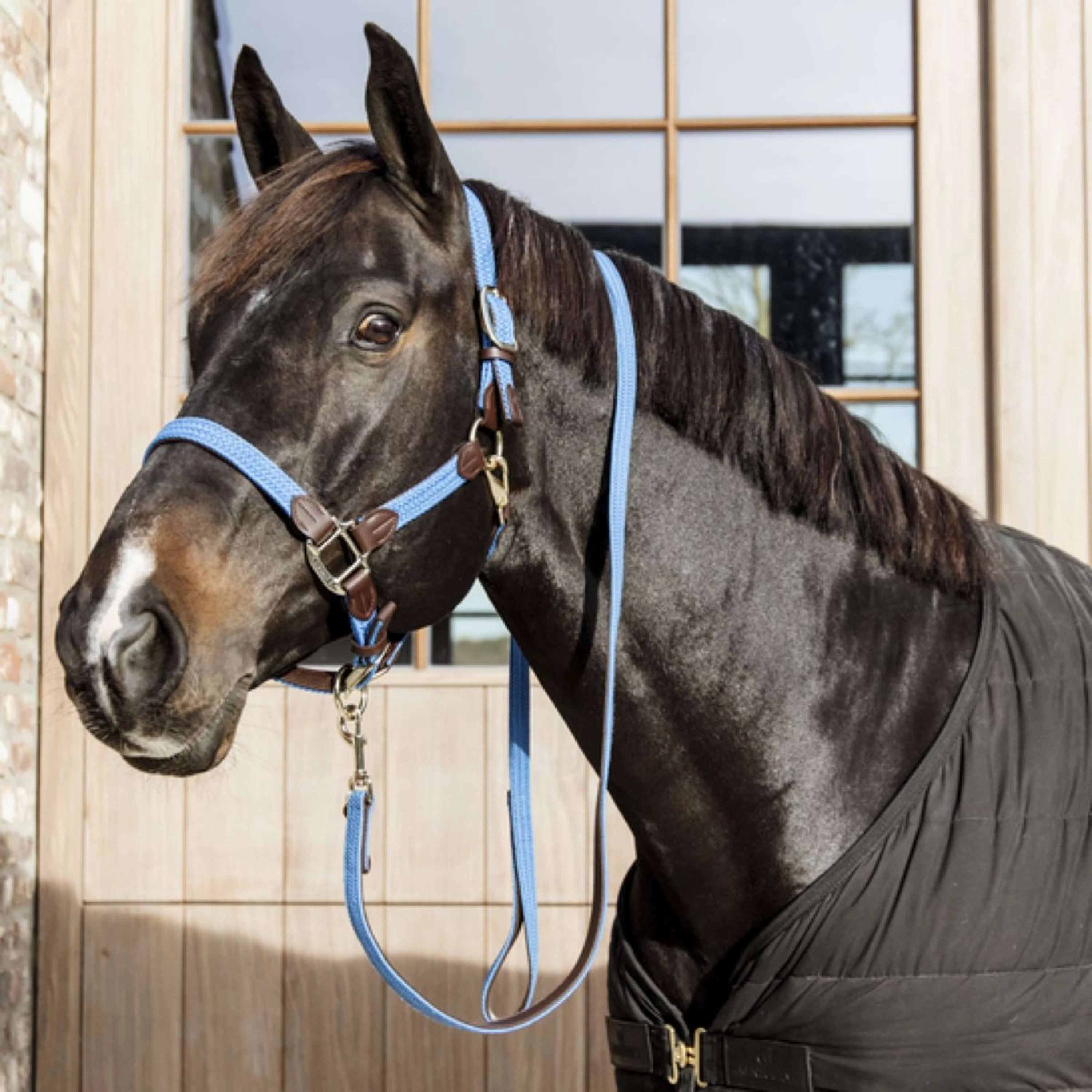 Kentucky Halfter Plaited Nylon Hellblau - Image 3