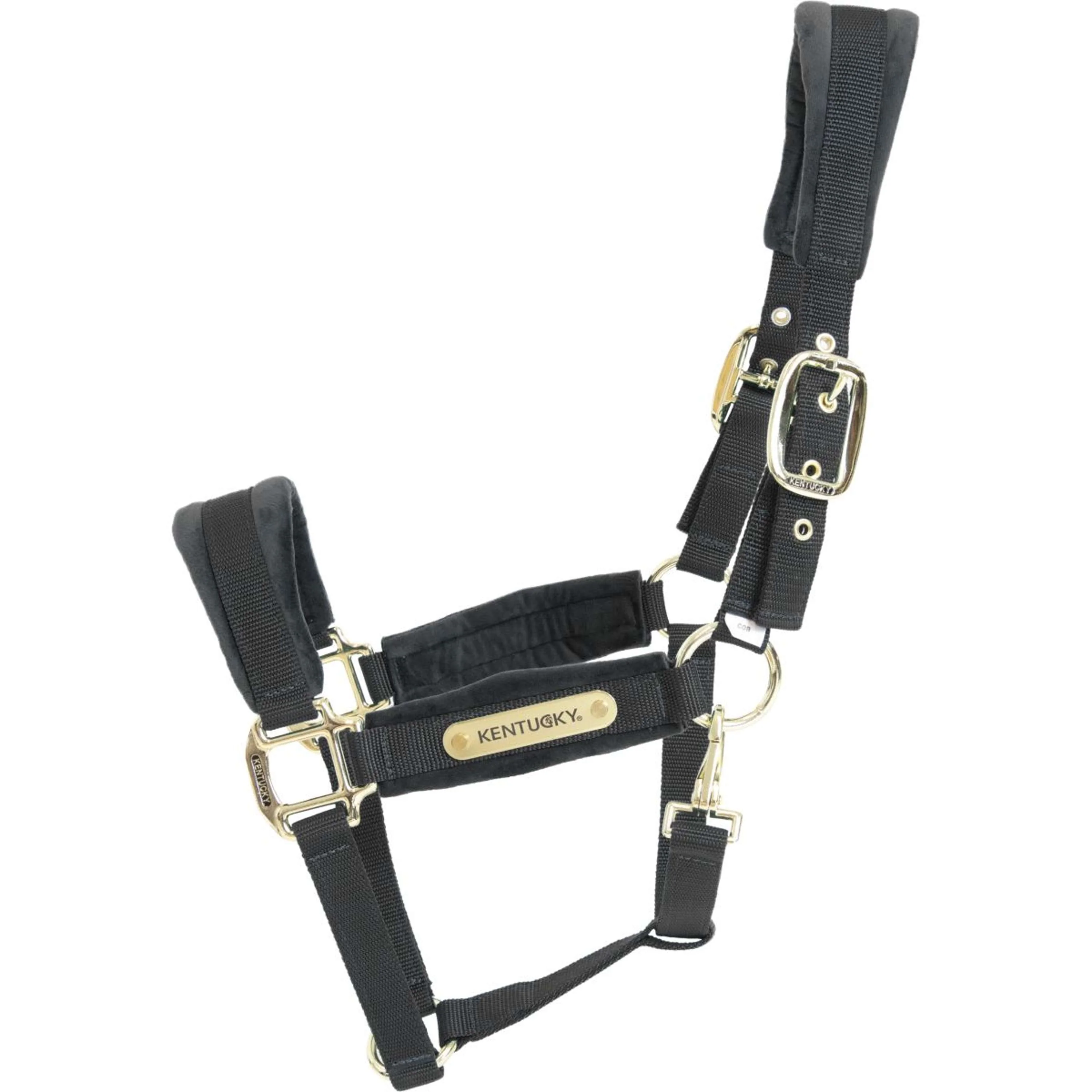 Kentucky Halfter Velvet Schwarz