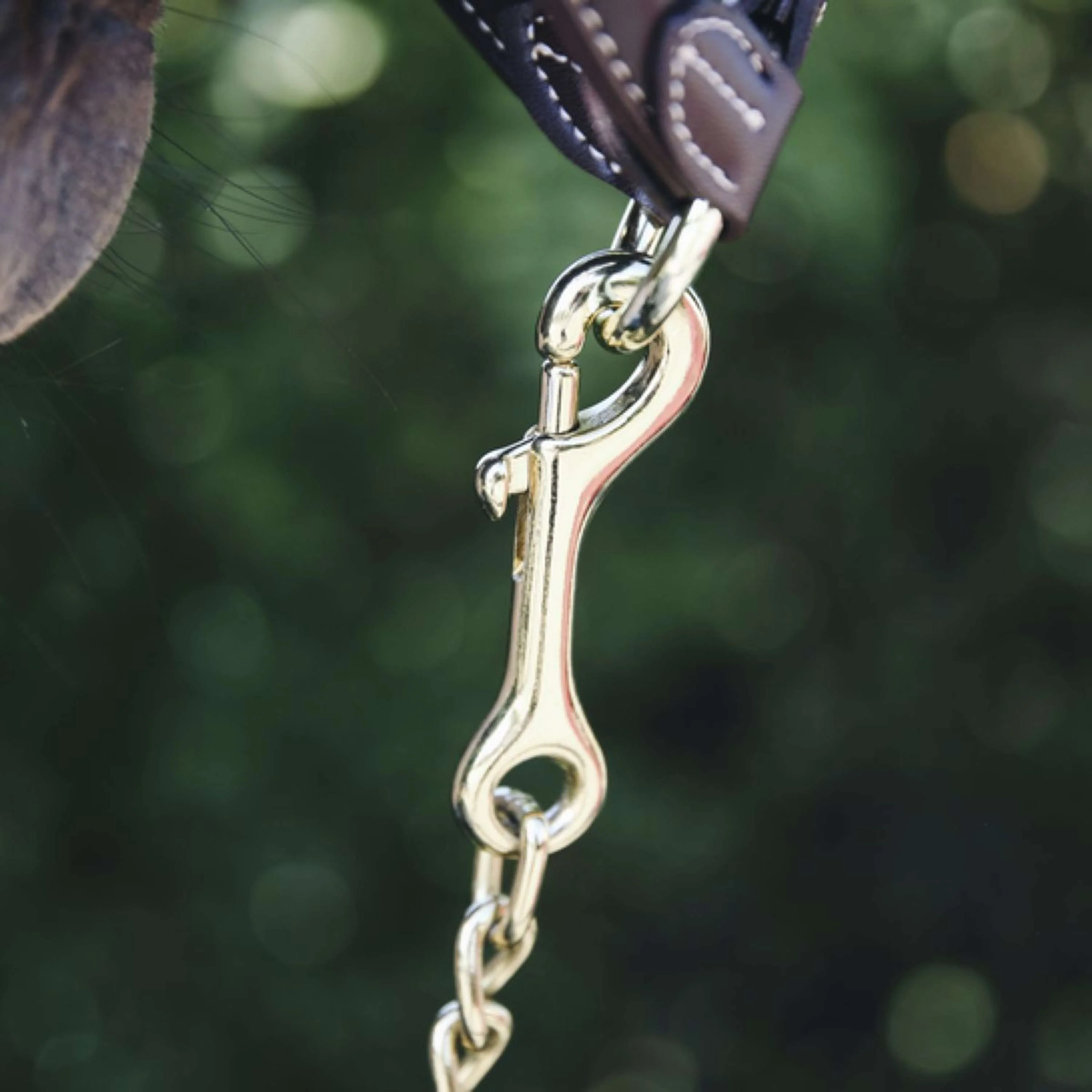 Kentucky Hengst Kette - Image 2