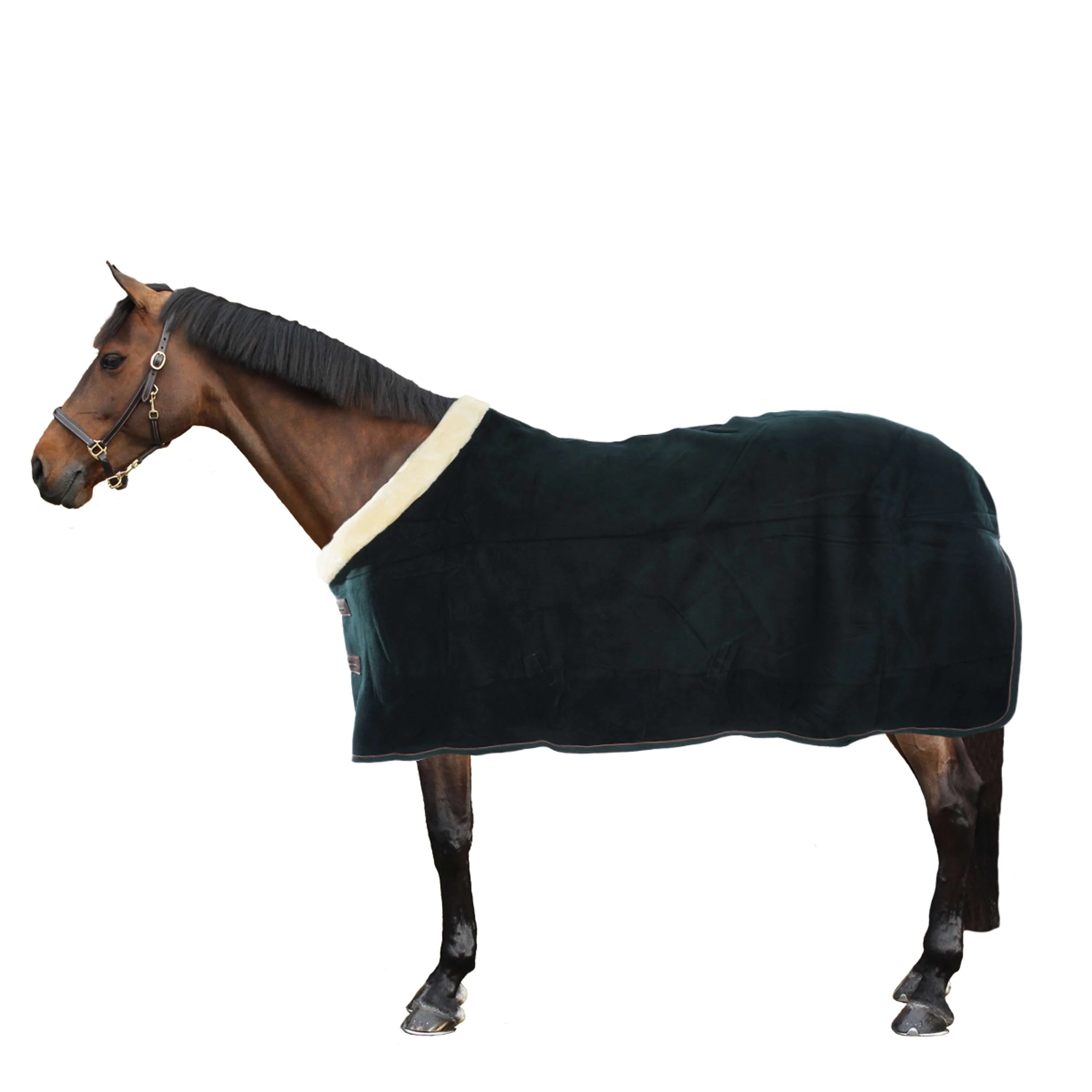Kentucky Abschwitzdecke Show Fleece Heavy Grün - Image 4