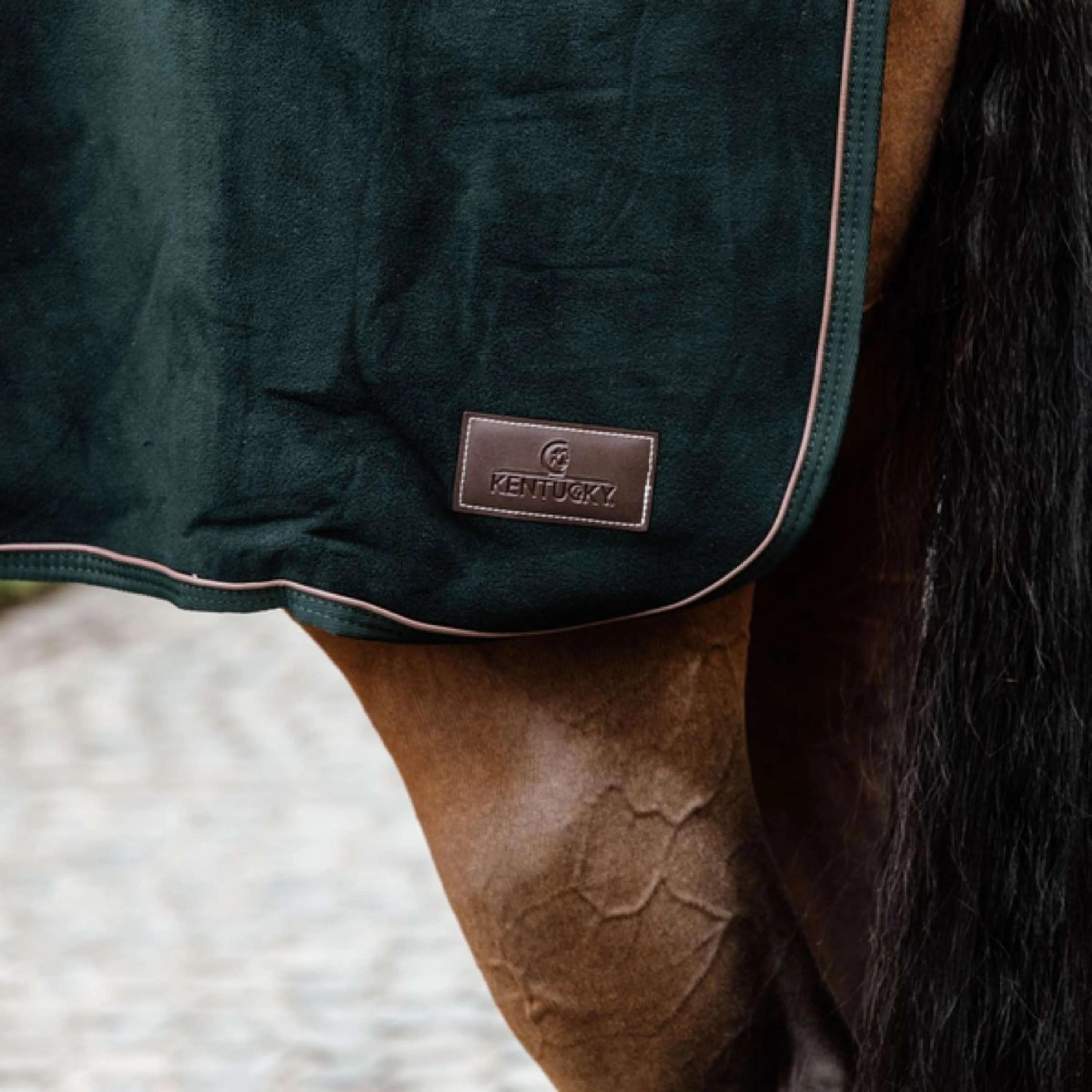 Kentucky Horsewear Ausreitdecke Quadratisch Heavy Fleece Grün - Image 2