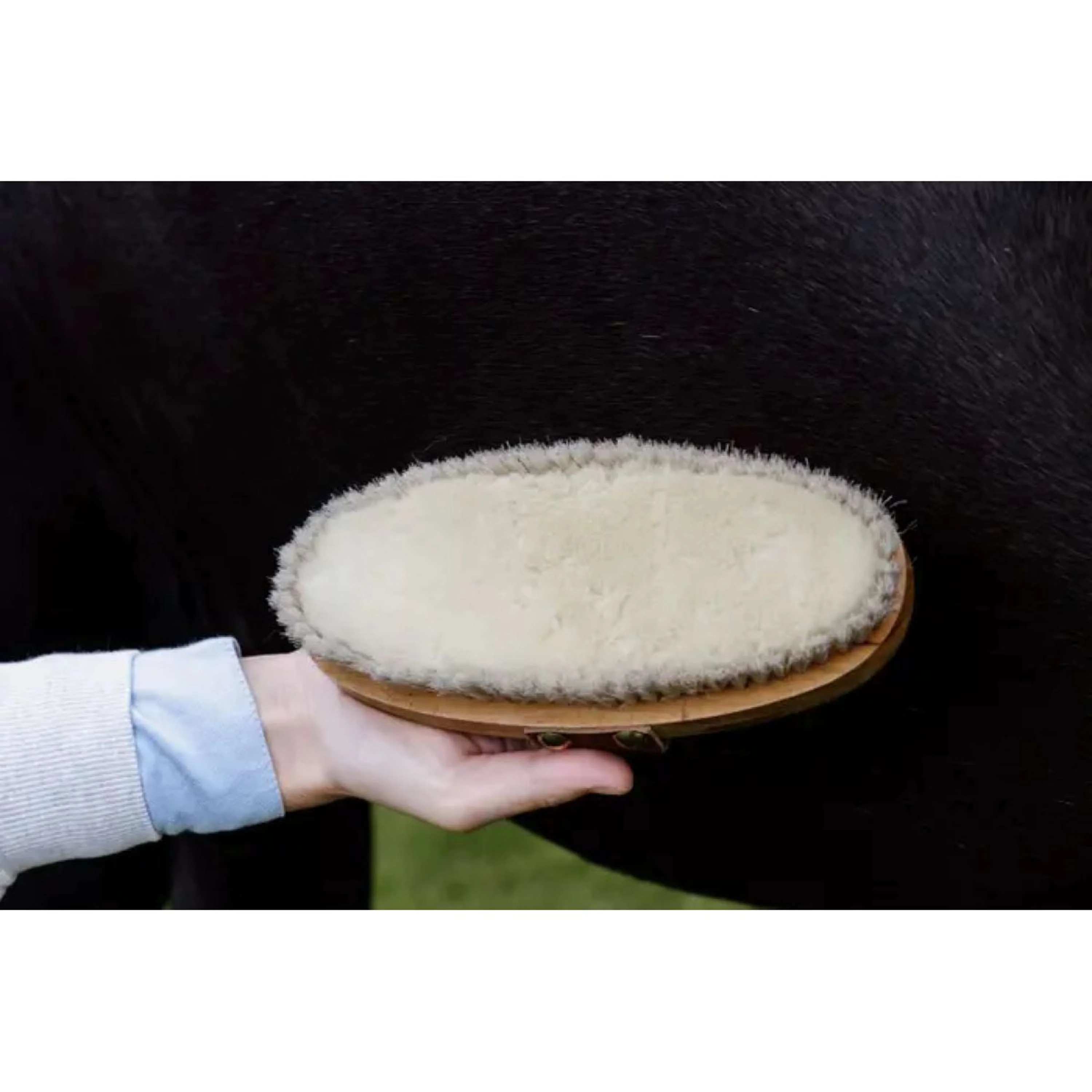 Kentucky Horsewear Bürste Soft Shine - Image 4