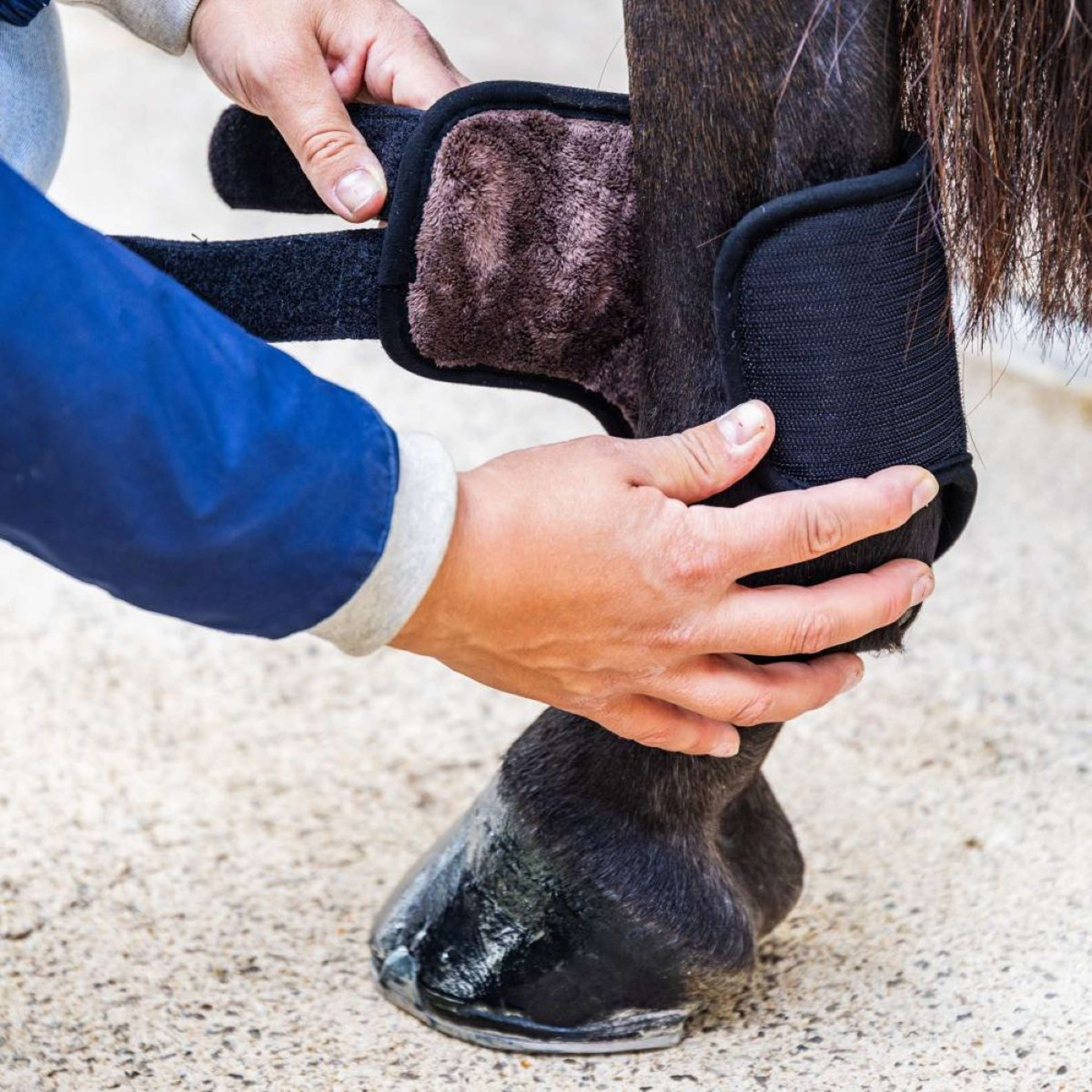 Kentucky Horsewear Eventing Boots 3D Air Flow Skin Friendly Short Hind Schwarz - Image 2