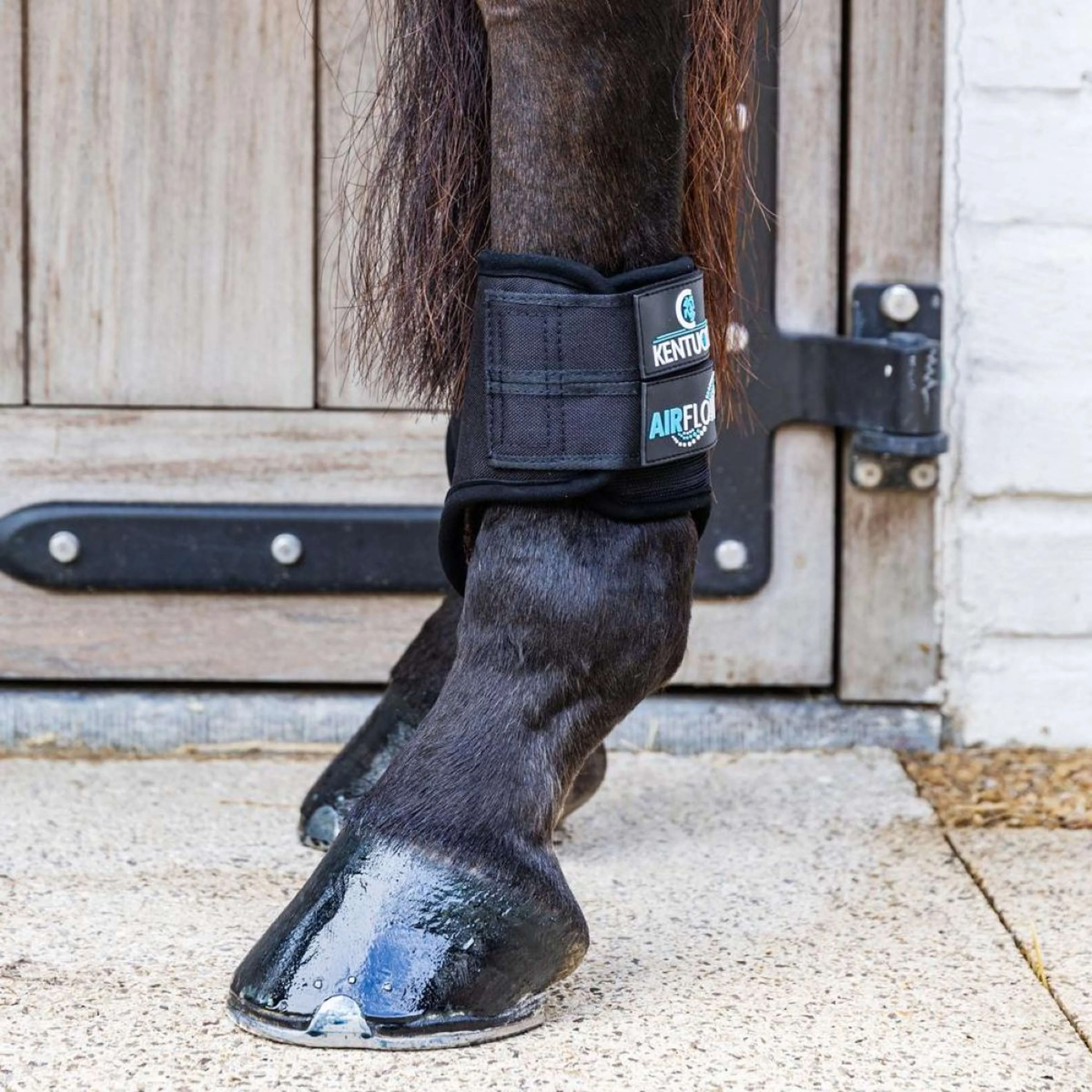 Kentucky Horsewear Eventing Boots 3D Air Flow Skin Friendly Short Hind Schwarz - Image 3