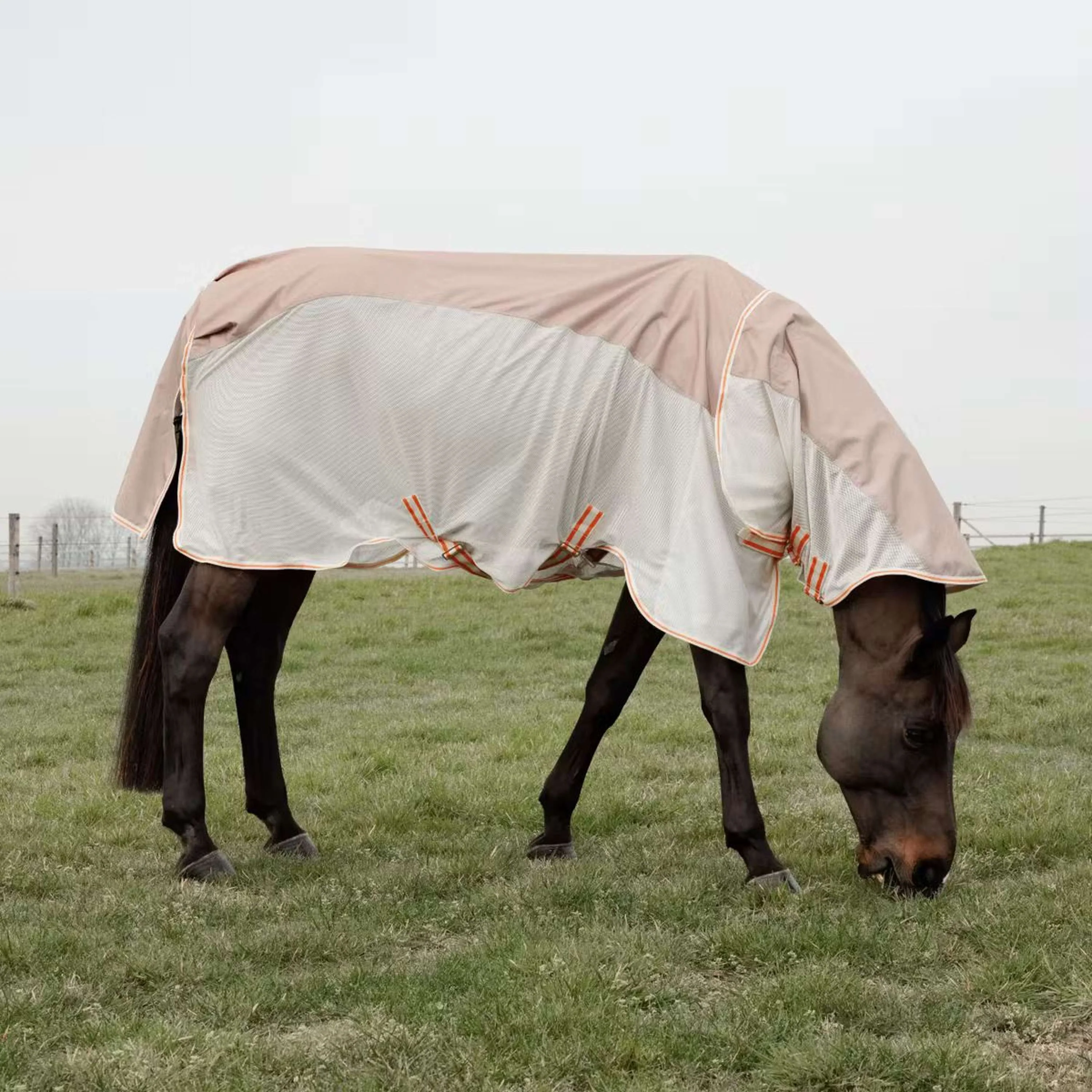 Kentucky Horsewear Fliegendecke Waterproof Combo Comfort Beige - Image 4