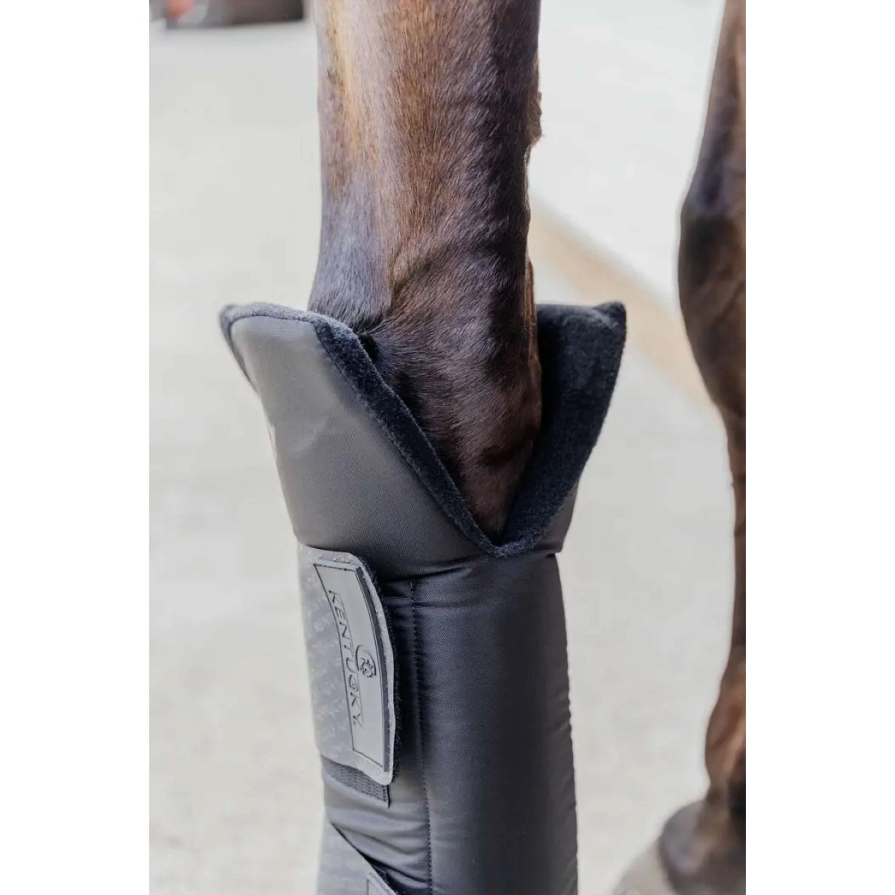 Kentucky Stallgamaschen PROtect long Vorderseite Schwarz - Image 2