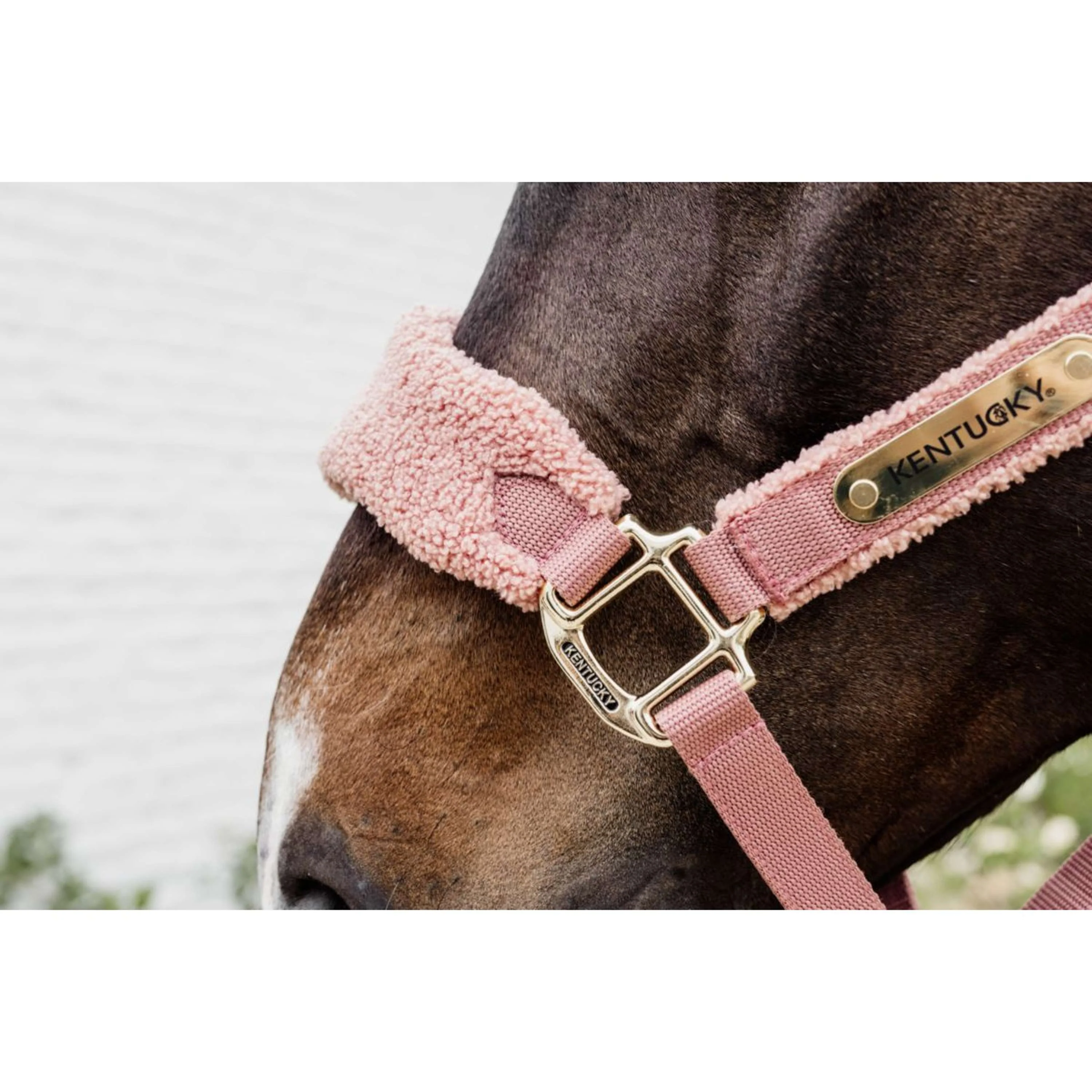 Kentucky Halfter Teddy Fleece Altrosa - Image 3