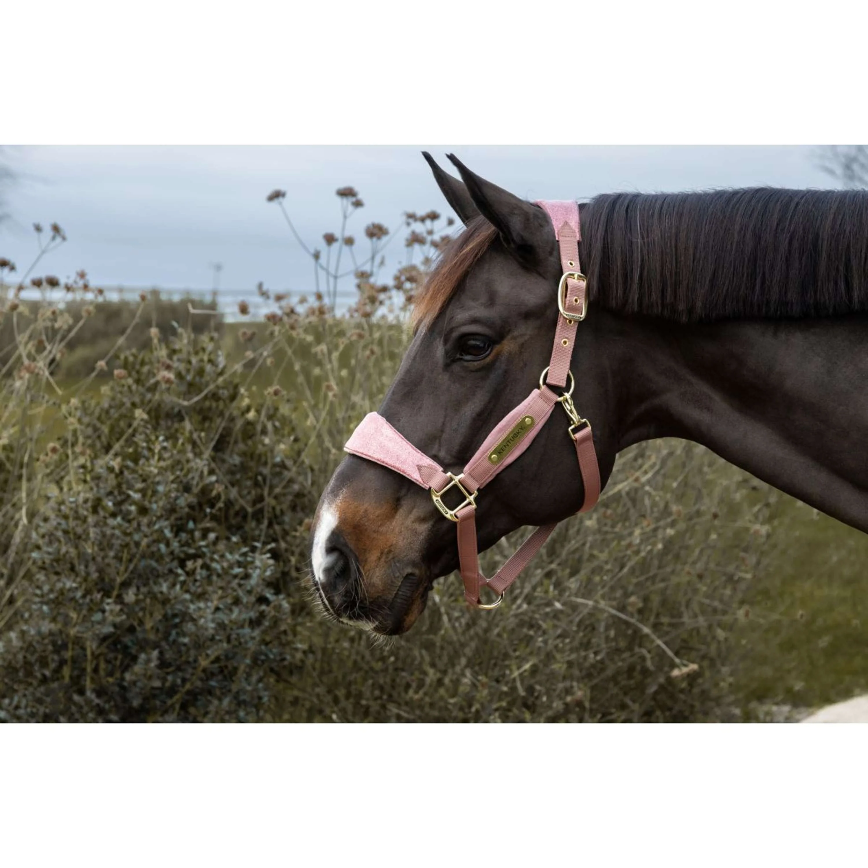 Kentucky Horsewear Halfter Velvet Glitter Unicorn Altrosa - Image 3