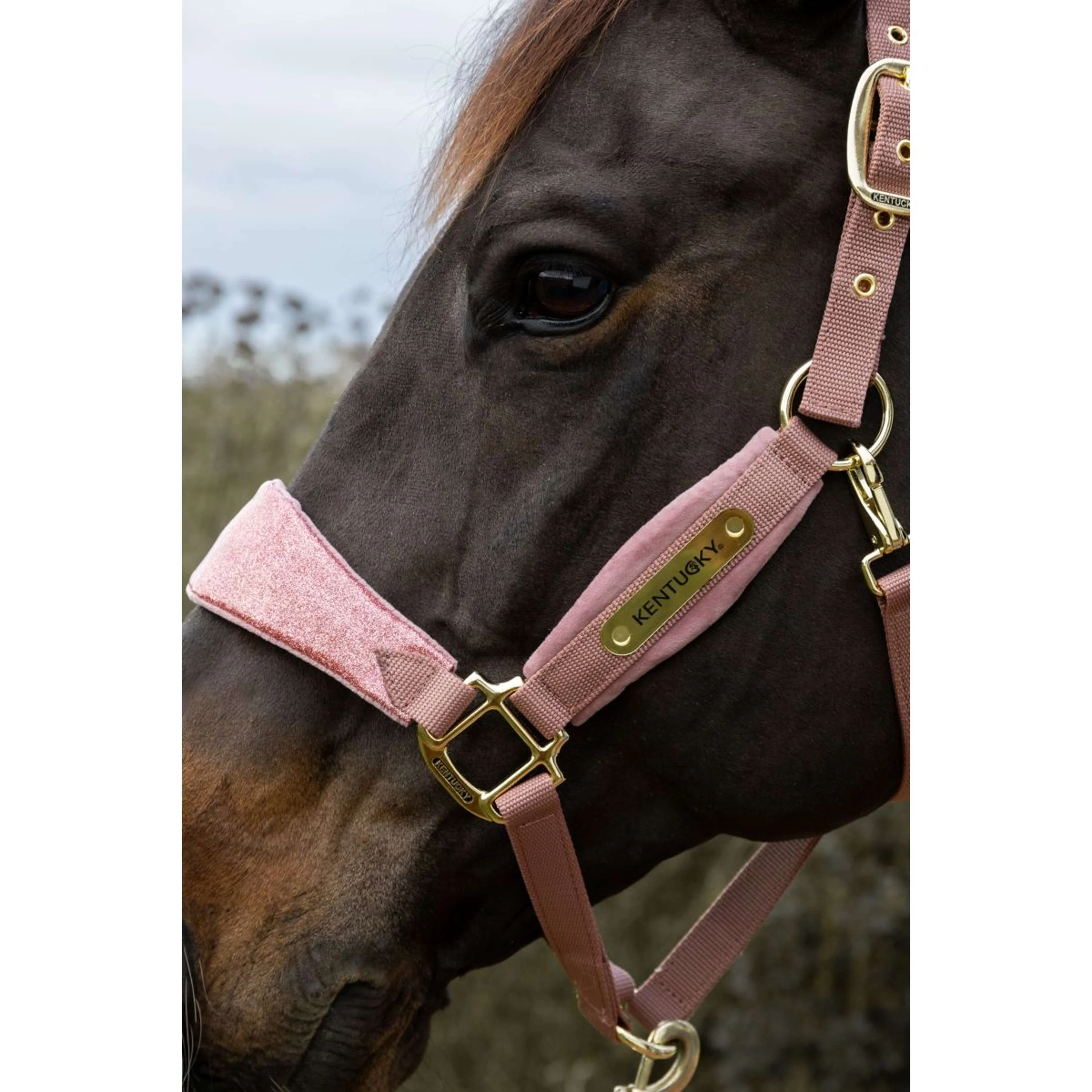 Kentucky Horsewear Halfter Velvet Glitter Unicorn Altrosa - Image 5