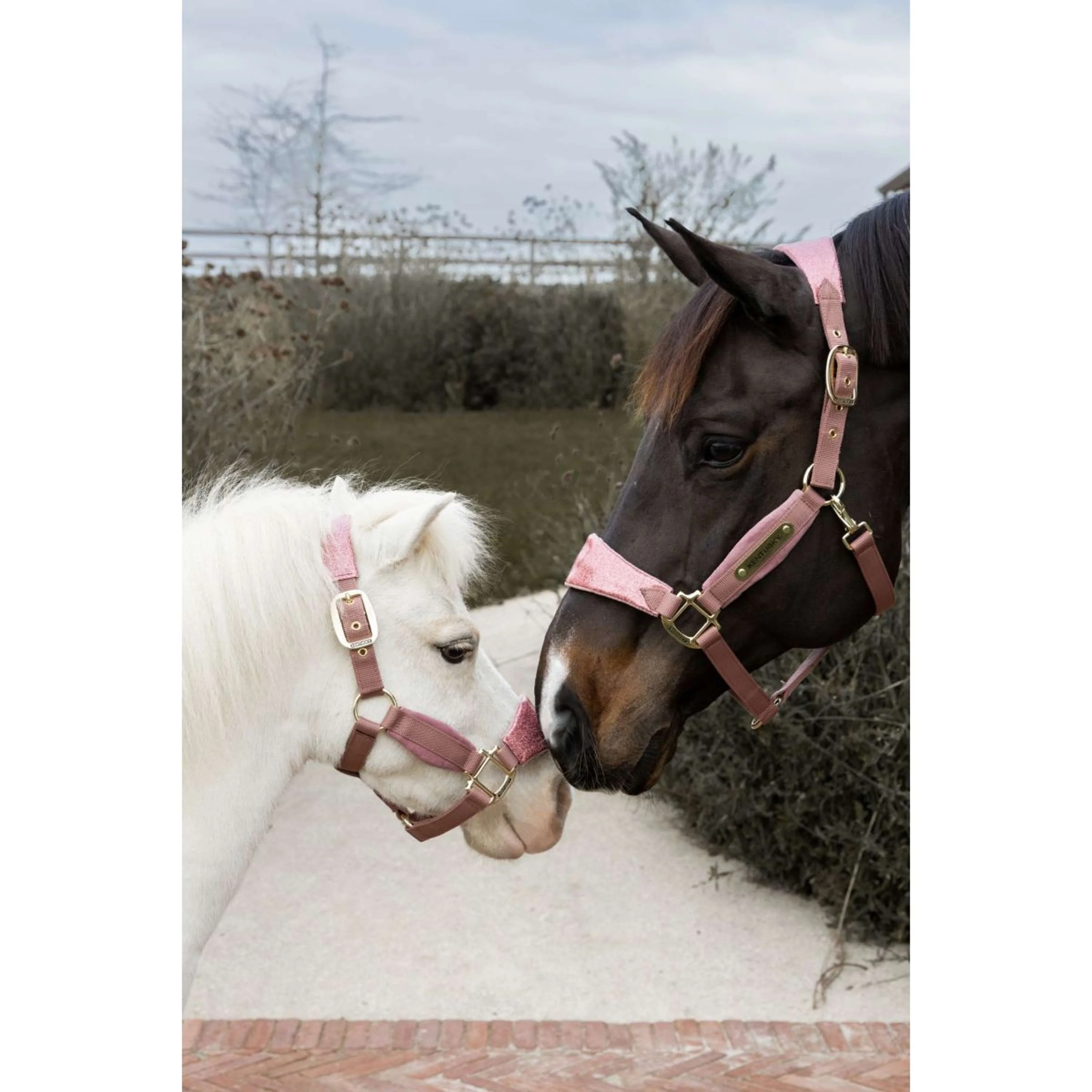 Kentucky Horsewear Halfter Velvet Glitter Unicorn Altrosa - Image 6