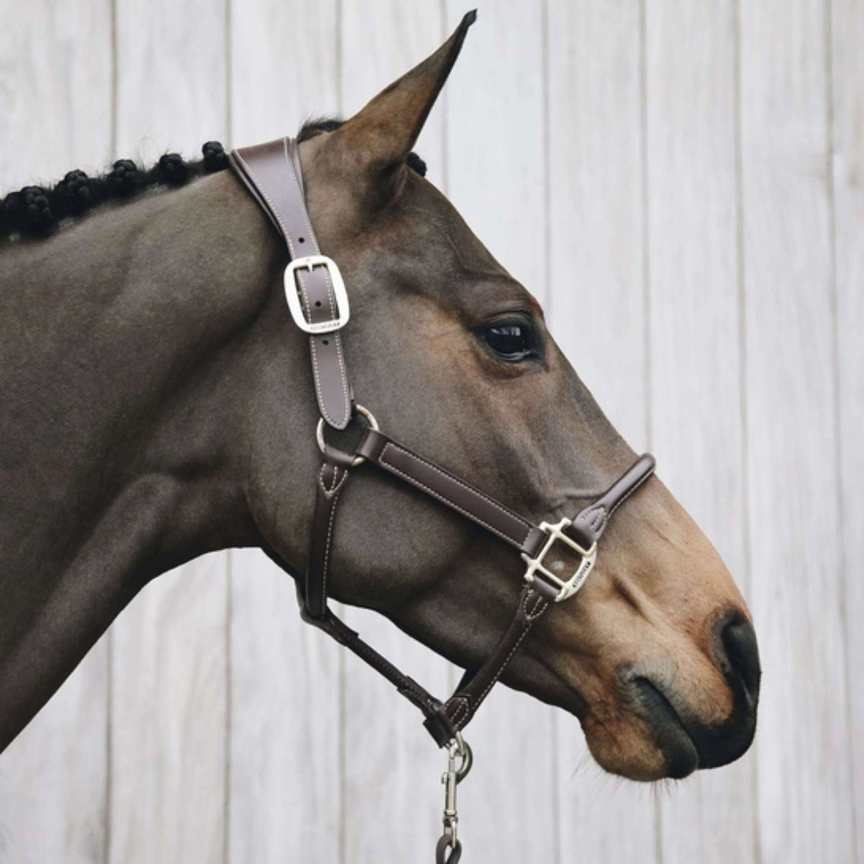 Kentucky Leder Halfter Braun - Image 2