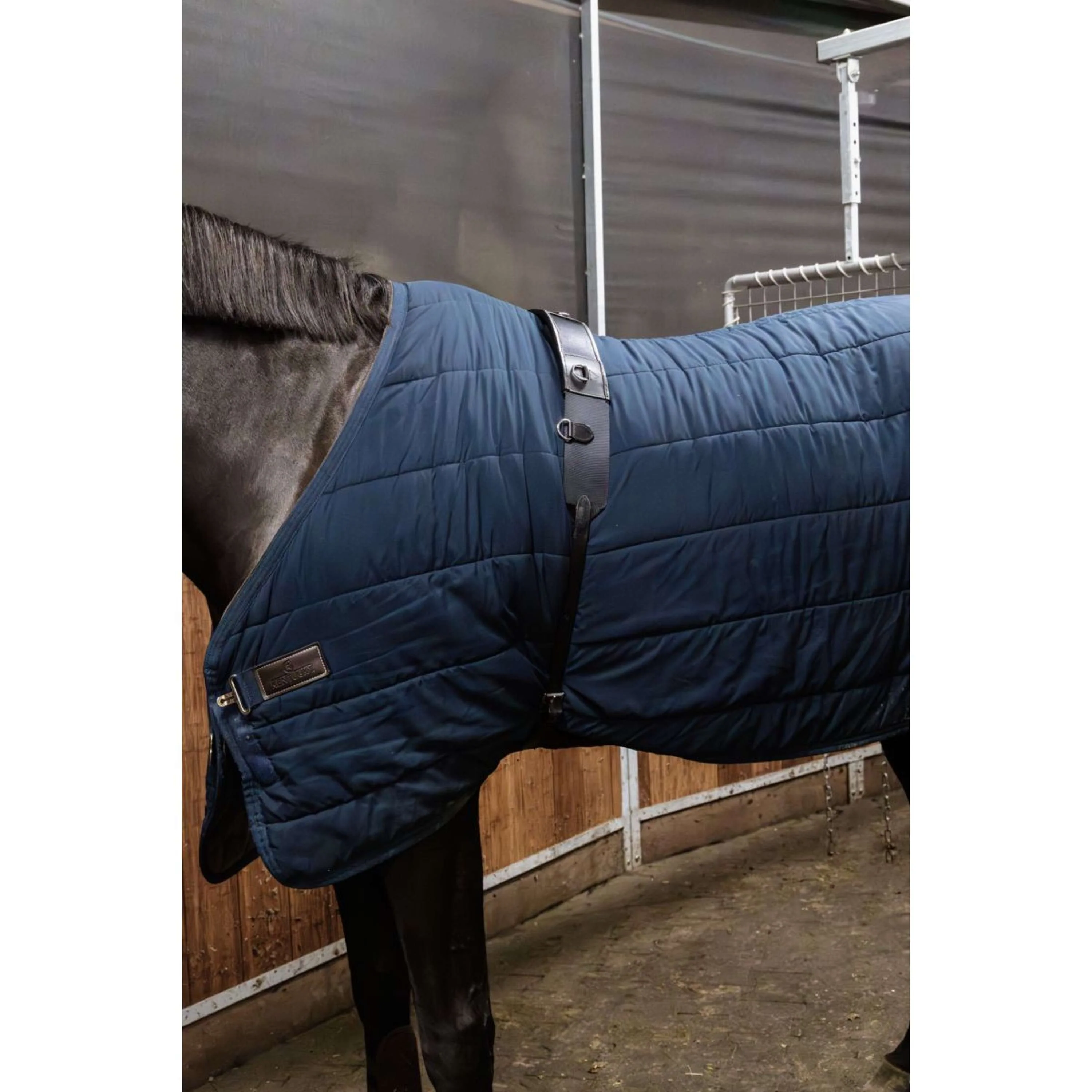 Kentucky Horsewear Longiergurt Nylon Schwarz - Image 2