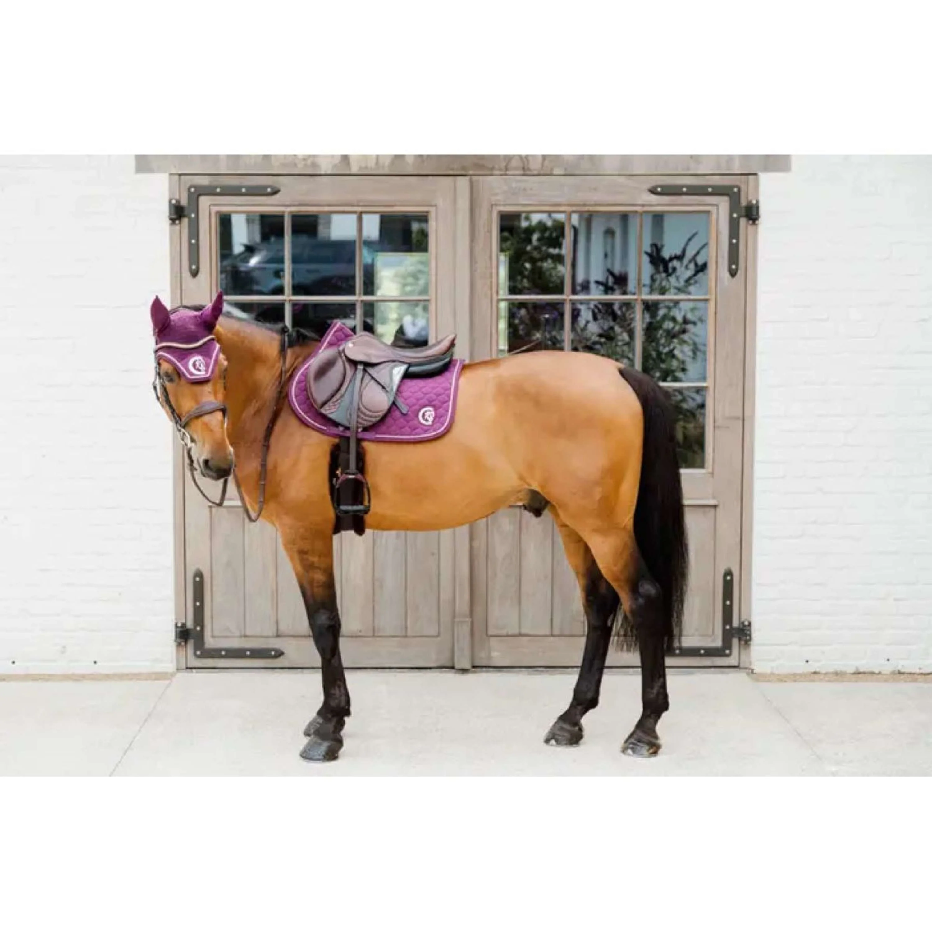 Kentucky Horsewear Schabracke Onion Quilt 3D Logo Springen Violett - Image 5