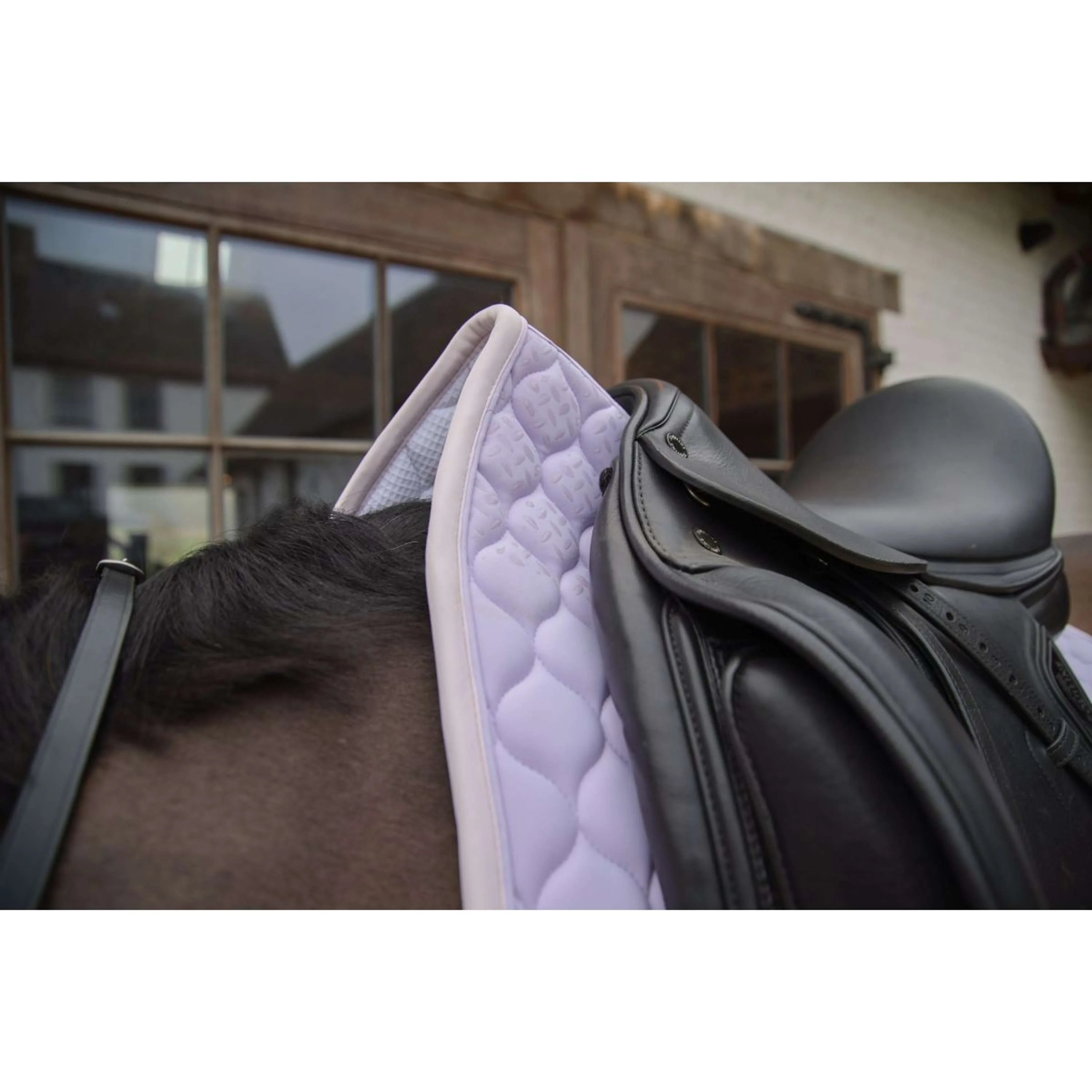 Kentucky Horsewear Schabracke Softshell Onion Quilt Dressur Hellviolett/Hellrosa - Image 3