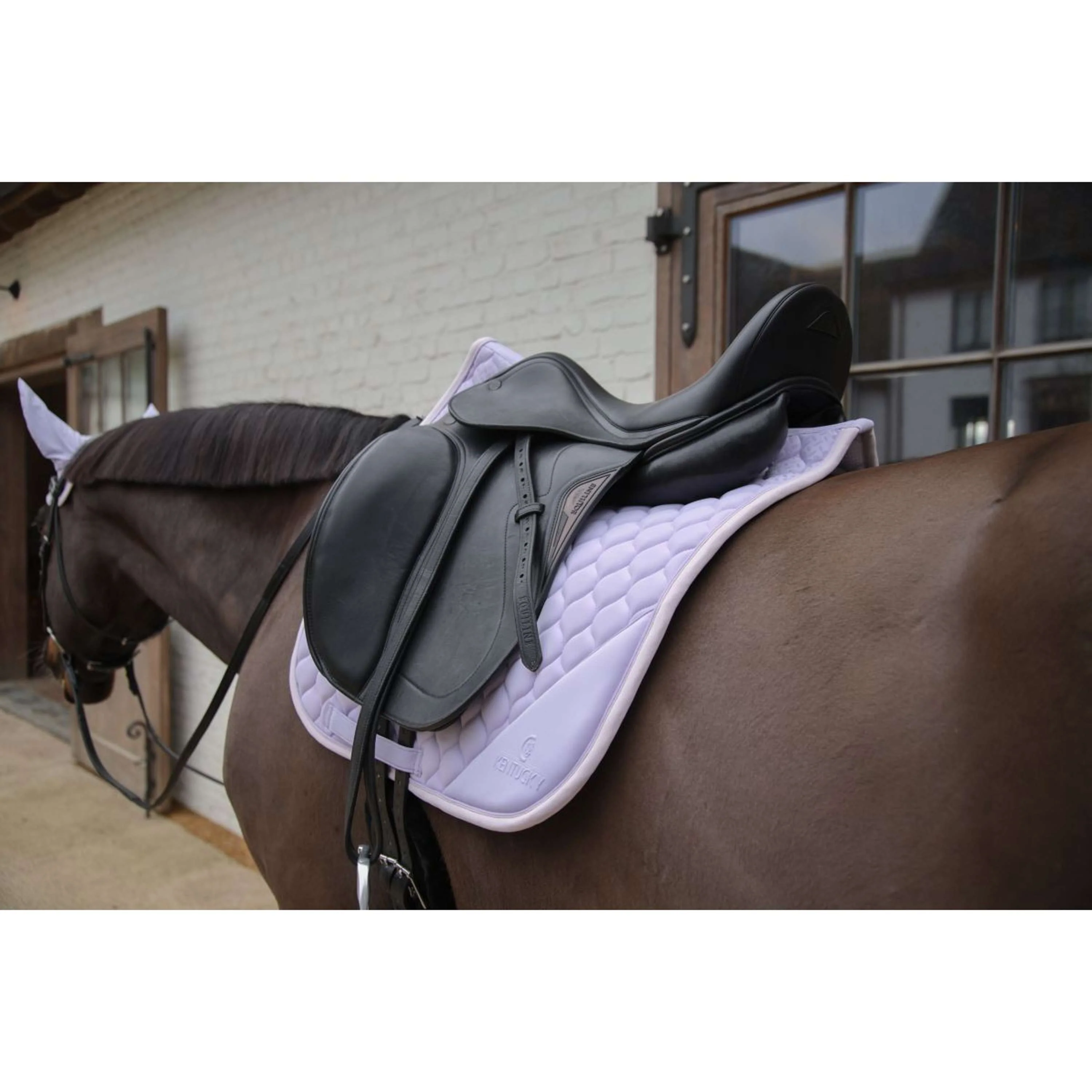 Kentucky Horsewear Schabracke Softshell Onion Quilt Dressur Hellviolett/Hellrosa - Image 5