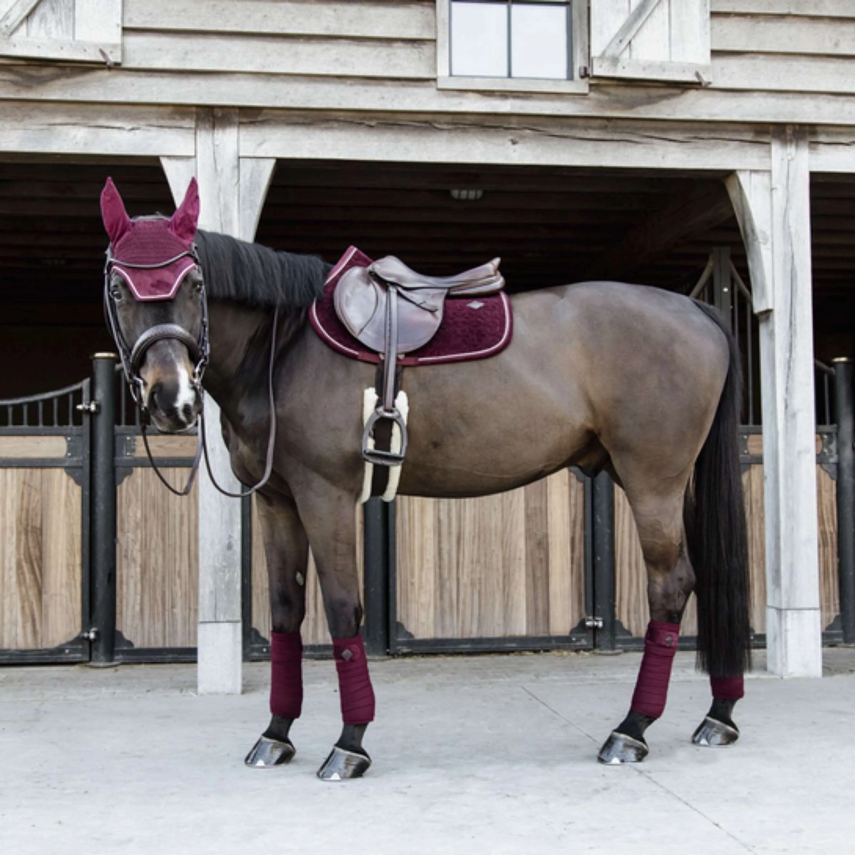 Kentucky Schabracke Velvet Bordeaux - Image 5