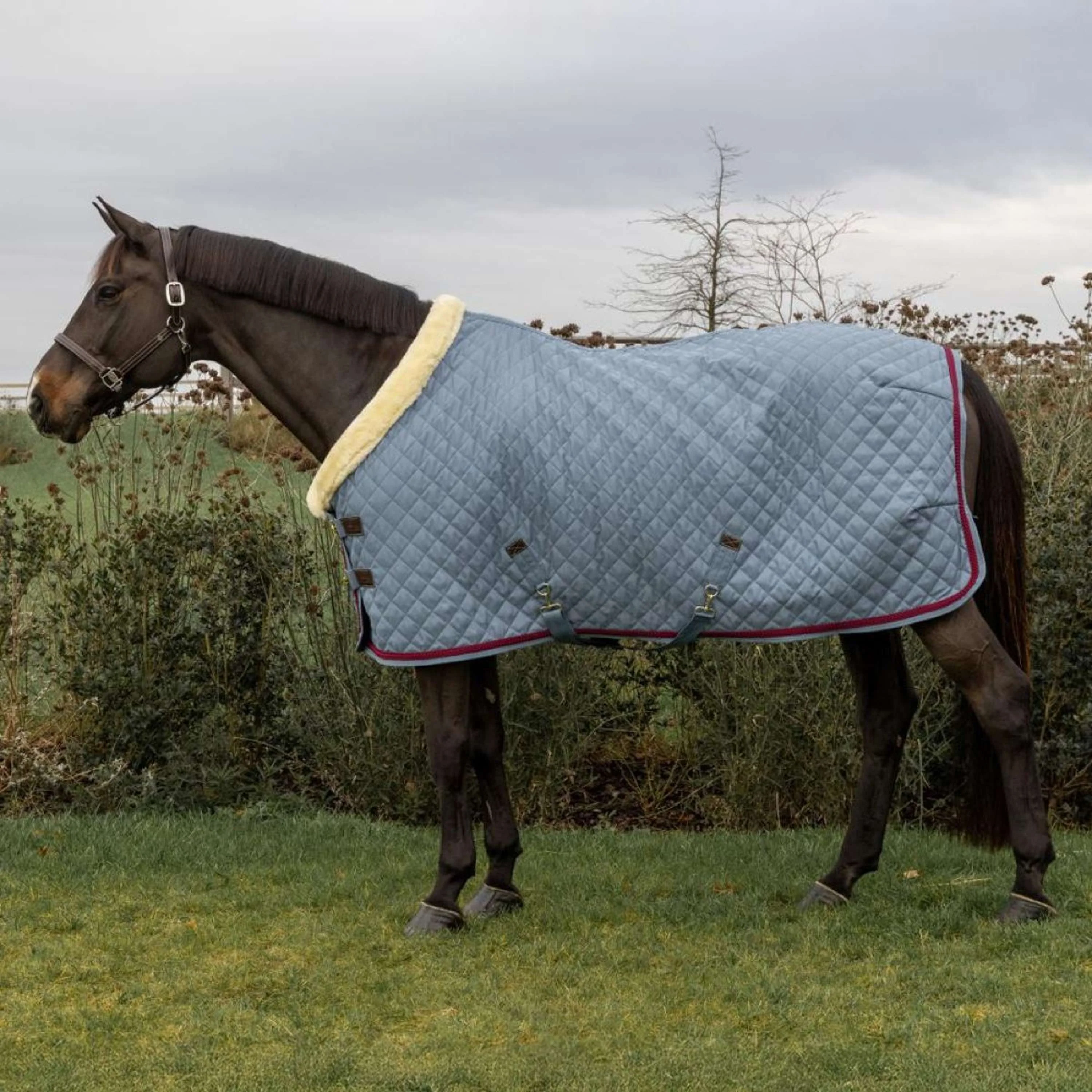 Kentucky Horsewear Showdecke 160g Denim - Image 2