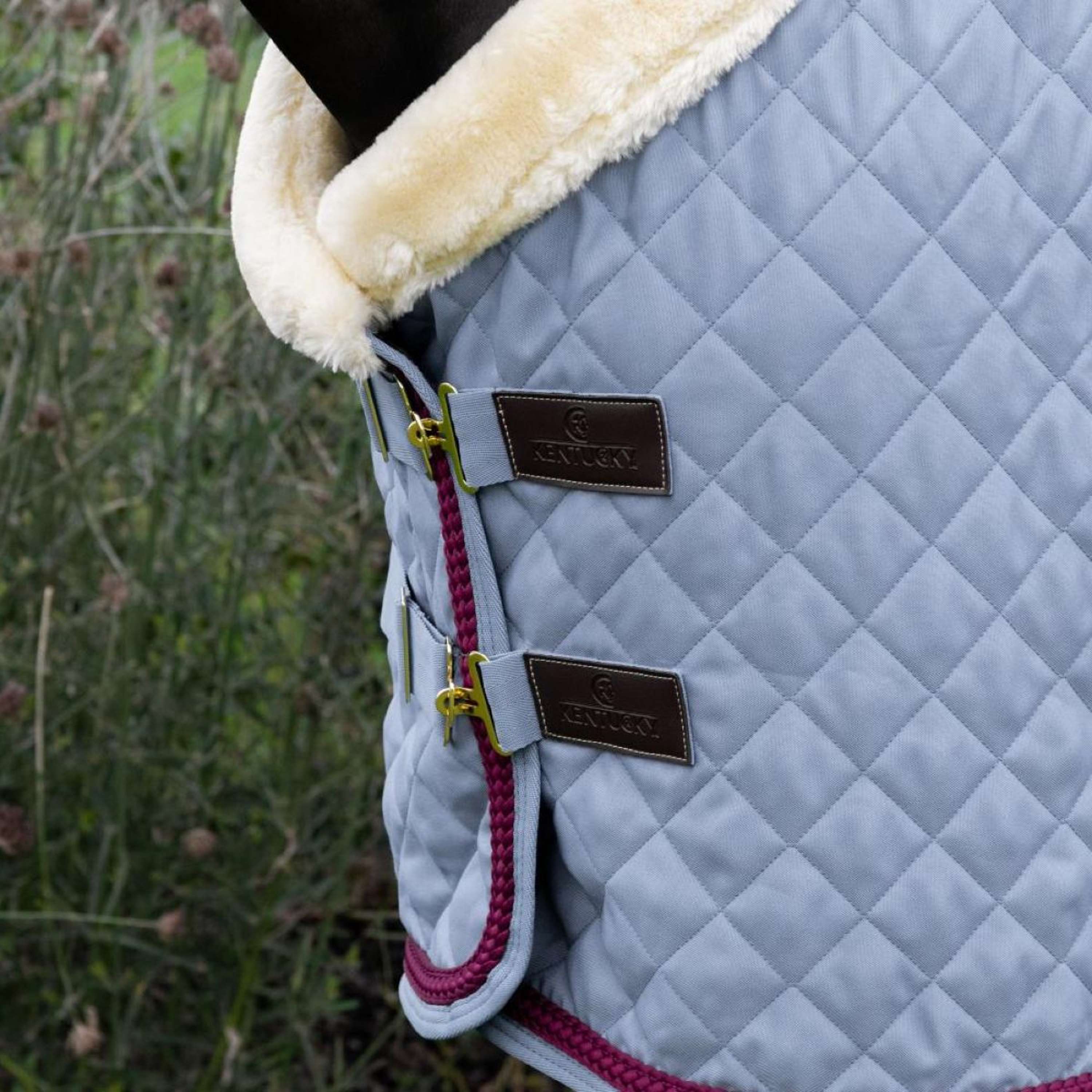 Kentucky Horsewear Showdecke 160g Denim - Image 3