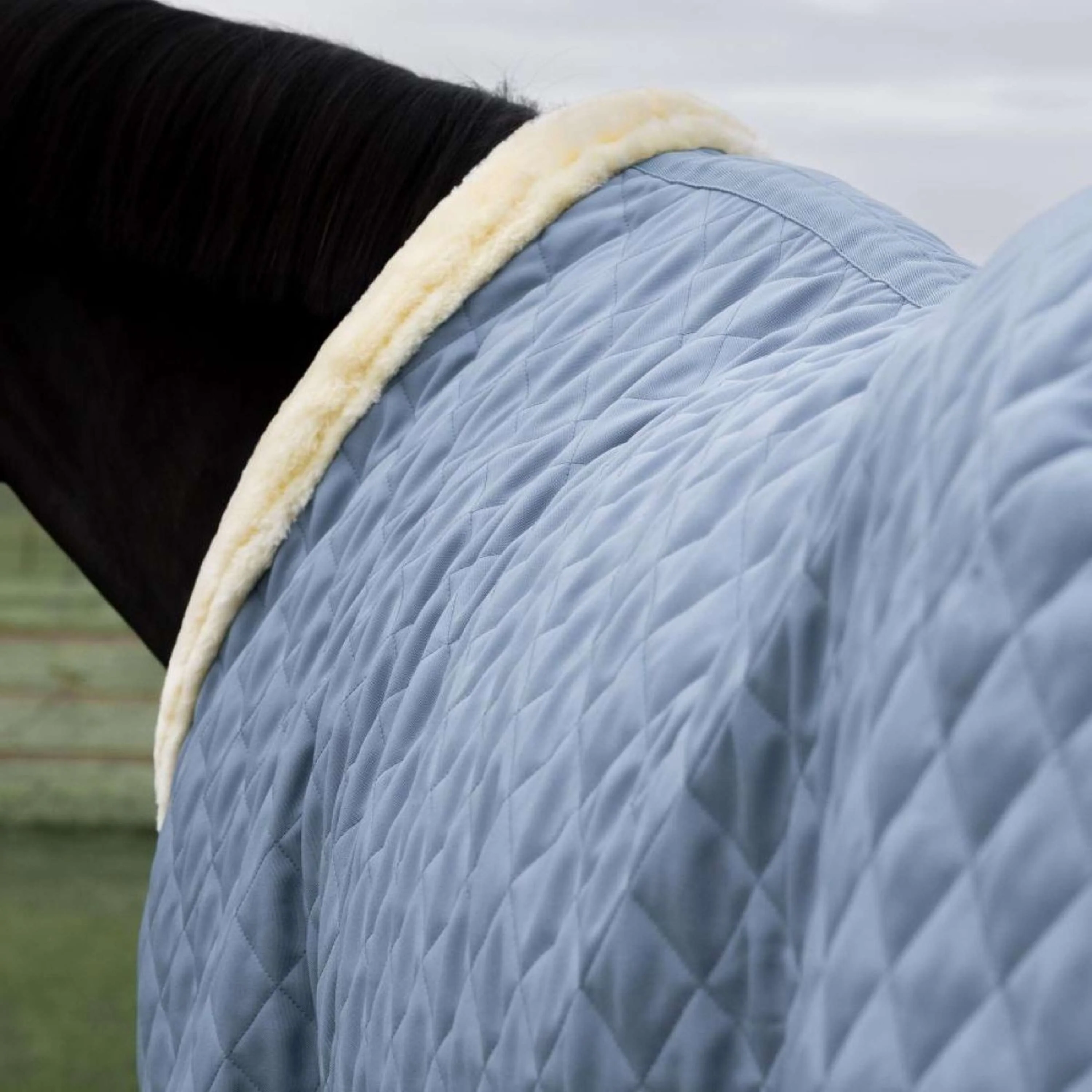 Kentucky Horsewear Showdecke 160g Denim - Image 6