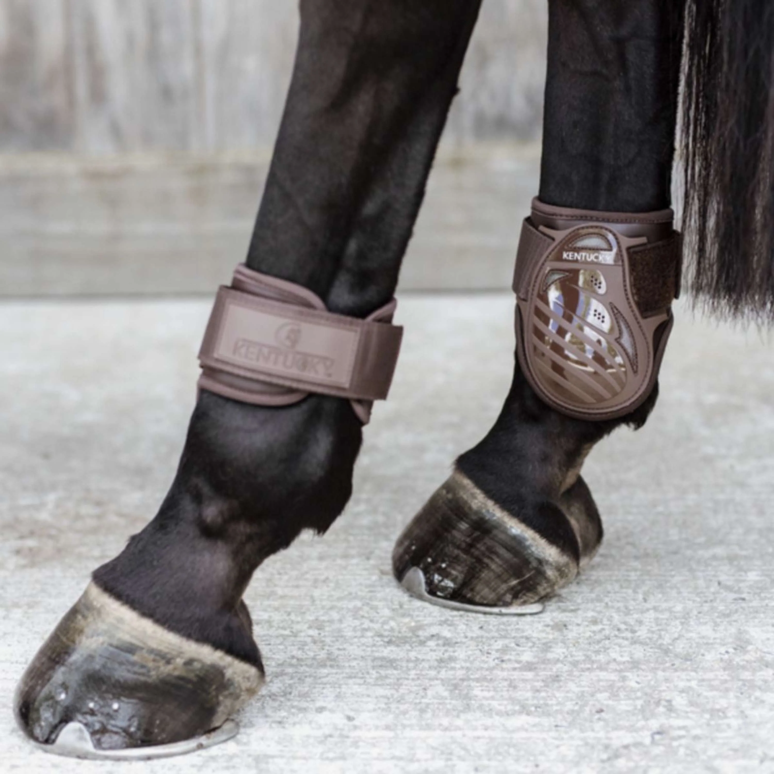 Kentucky Horsewear Streichkappen Young Horse Braun - Image 4