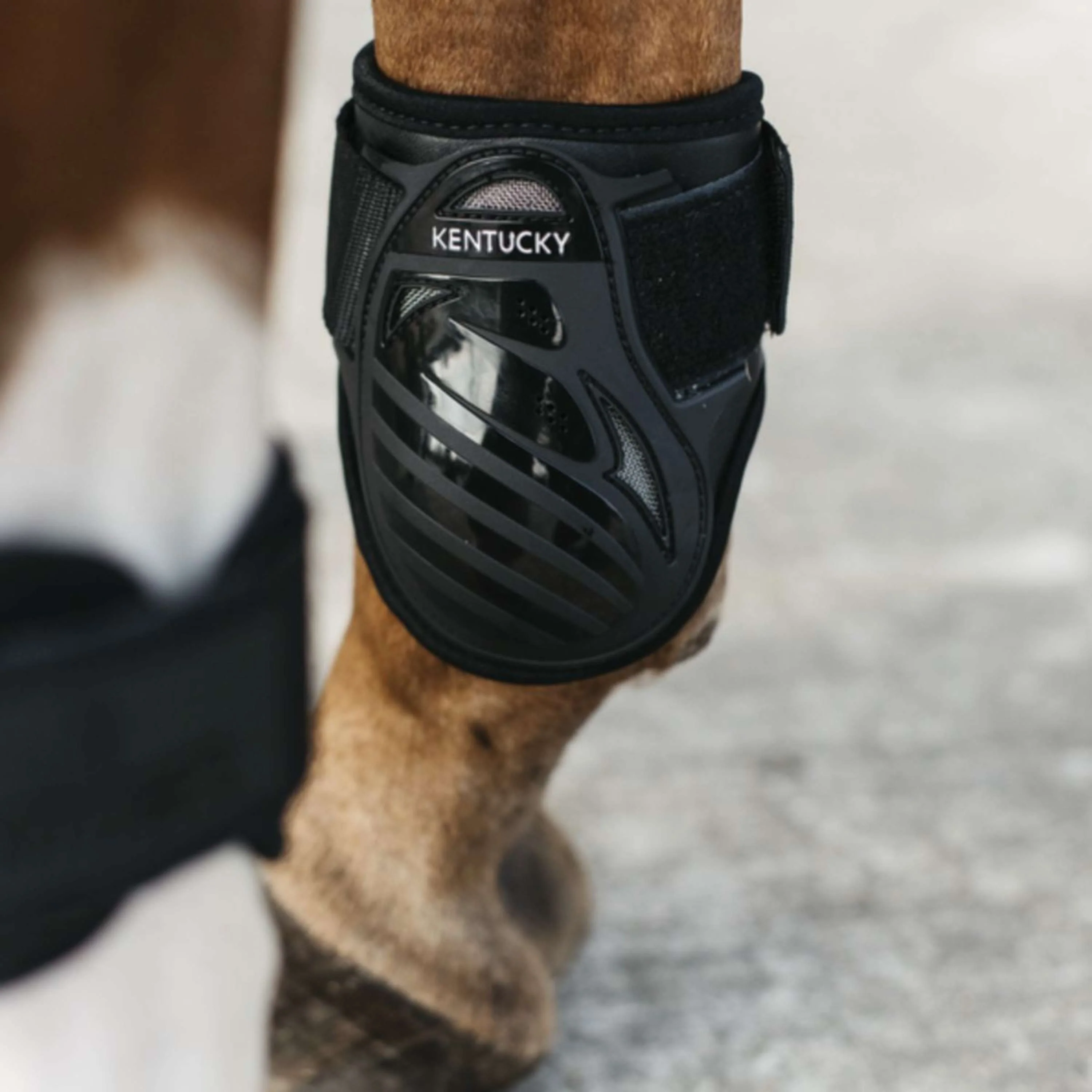 Kentucky Horsewear Streichkappen Young Horse Schwarz - Image 5