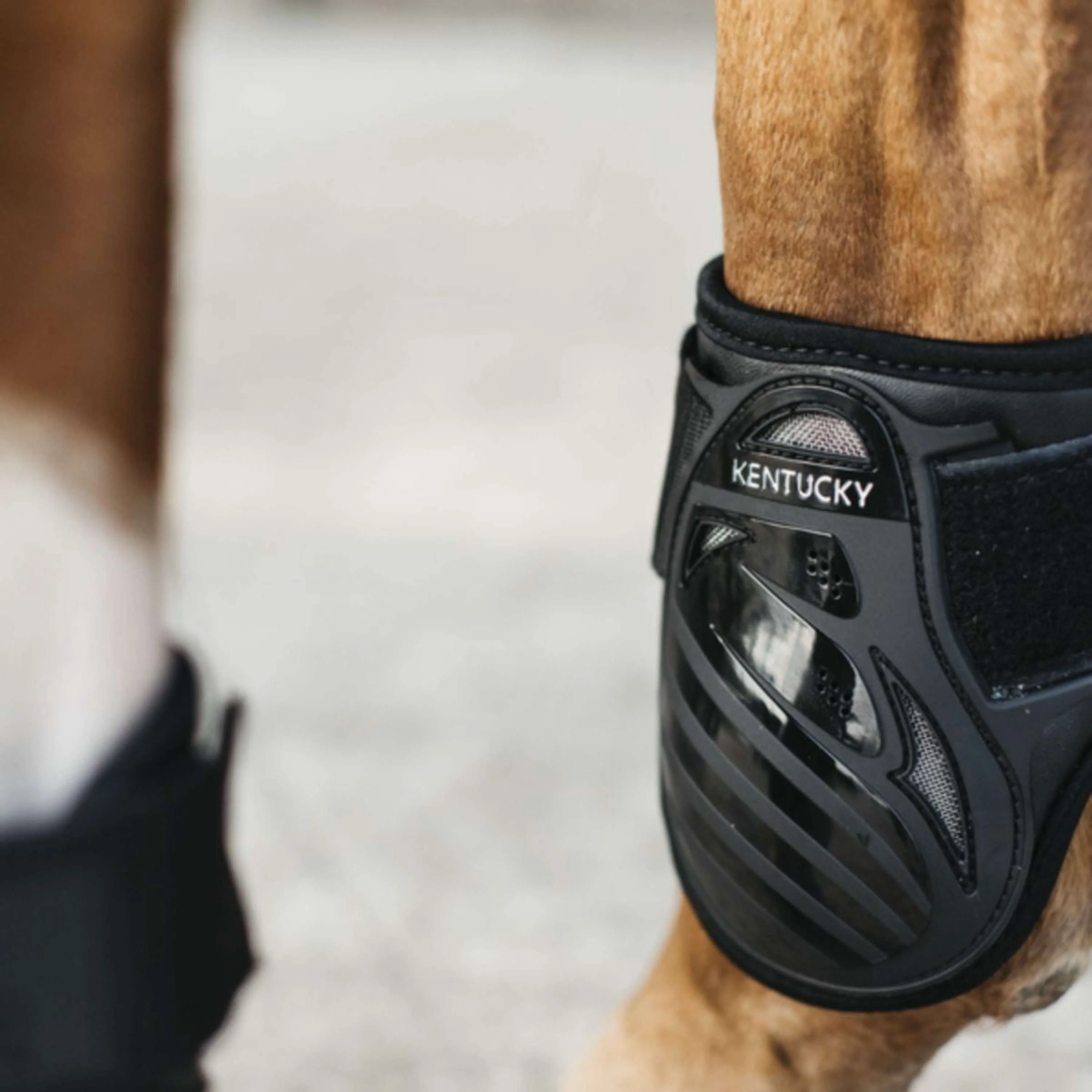 Kentucky Horsewear Streichkappen Young Horse Schwarz - Image 6
