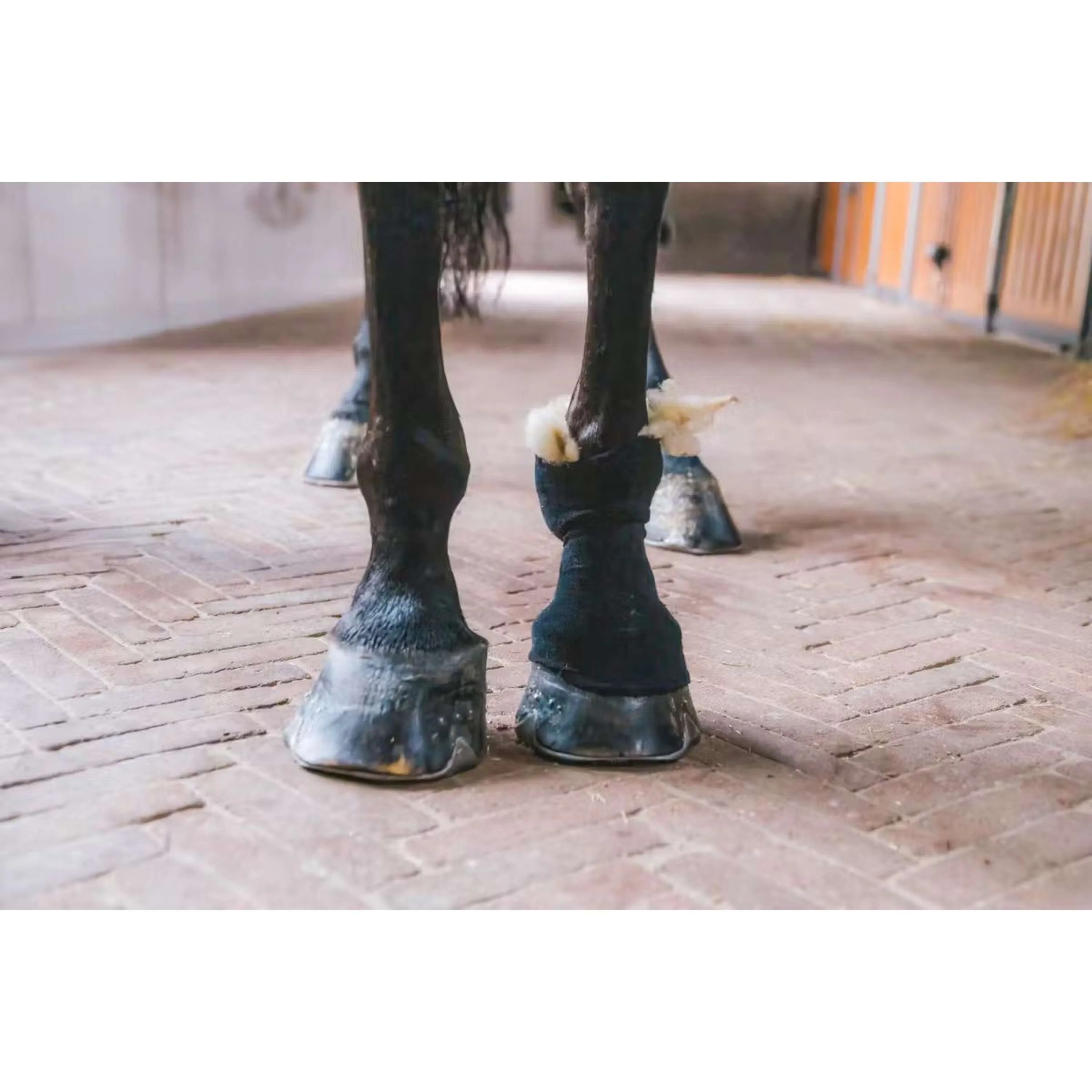 Kentucky Horsewear Therapeutische Wolle Weiß - Image 3