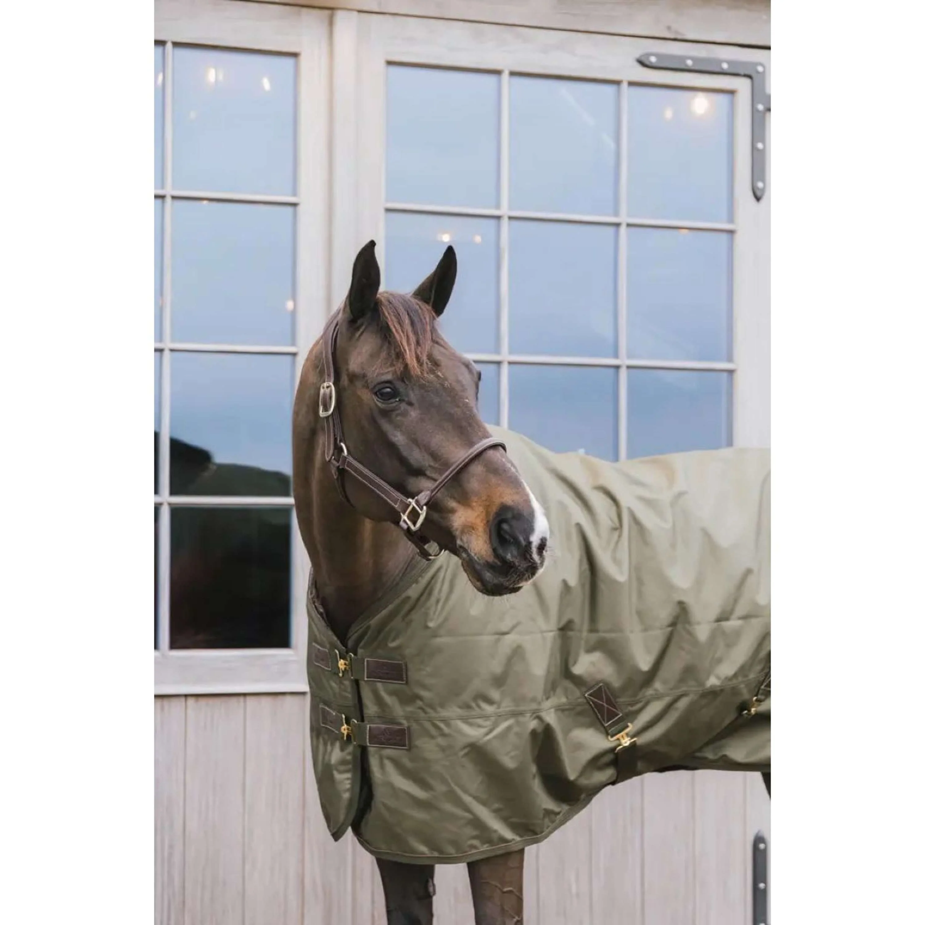 Kentucky Turnout All Weather 160g Kaki - Image 3