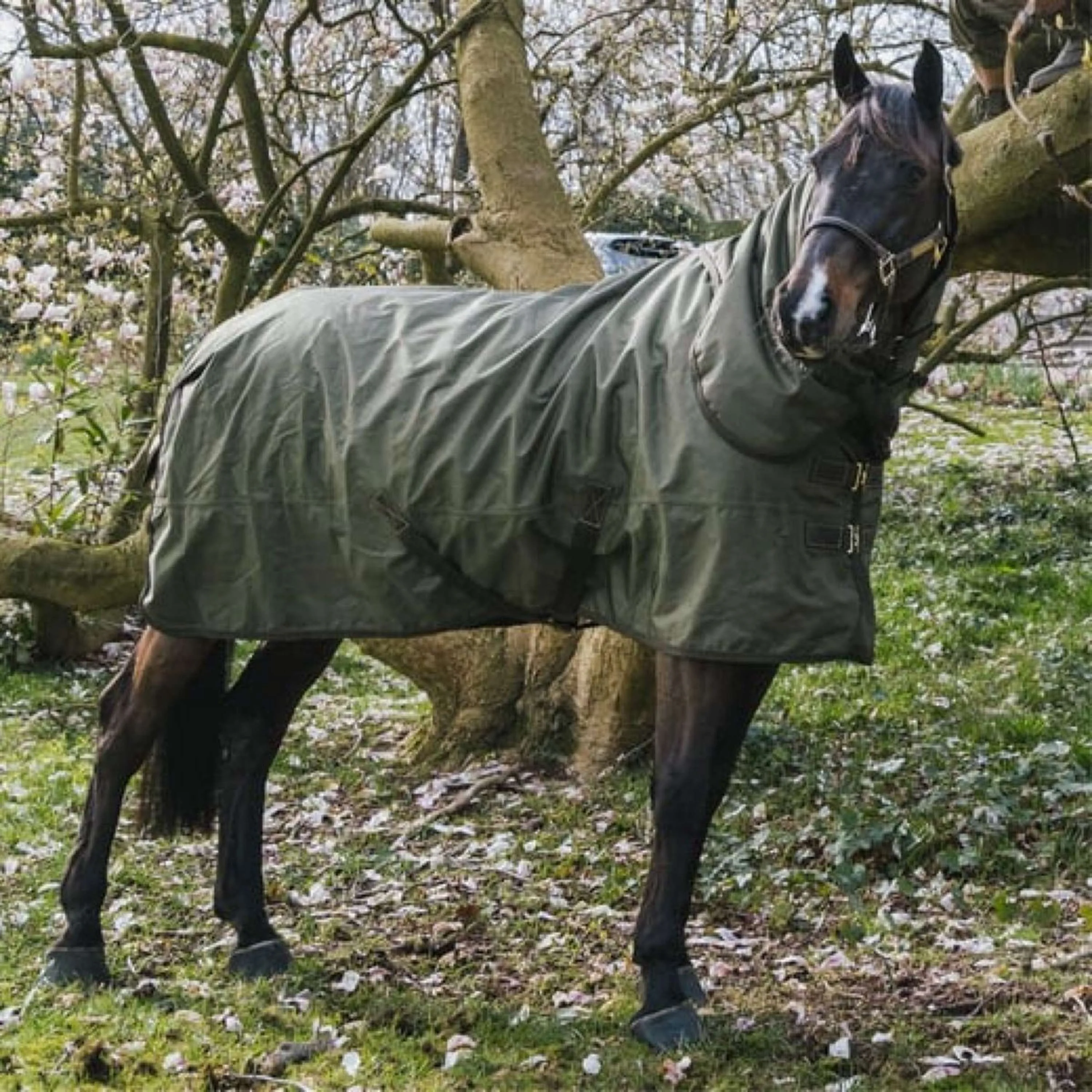 Kentucky Turnout All Weather 160g Kaki - Image 6