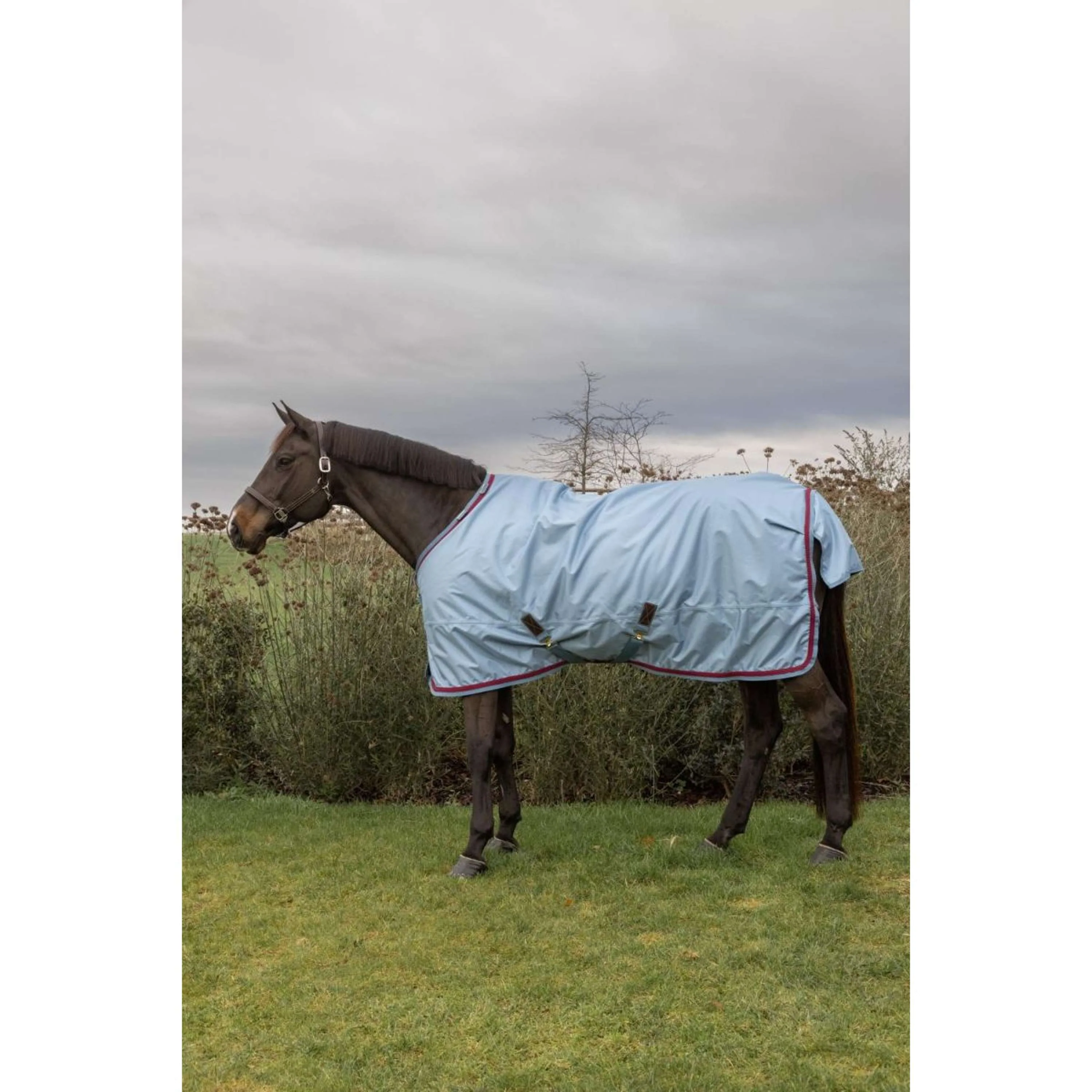 Kentucky Horsewear Winterdecke All Weather Waterproof Pro 160g Denim - Image 4