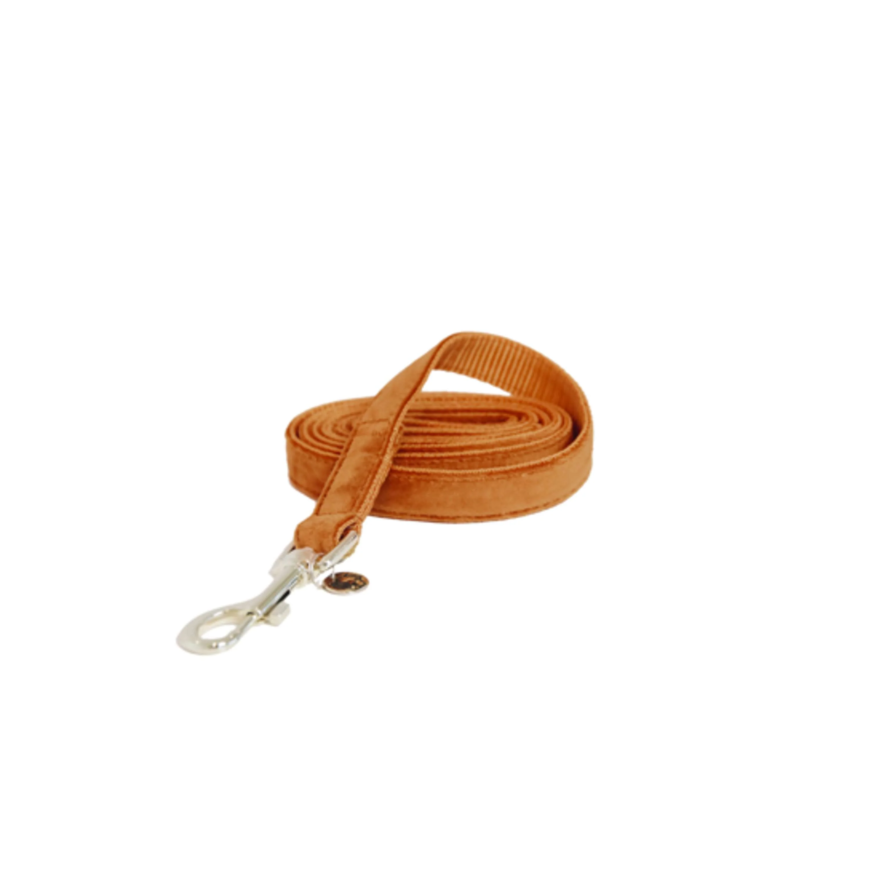 Kentucky Hundeleine Velvet Orange - Image 3